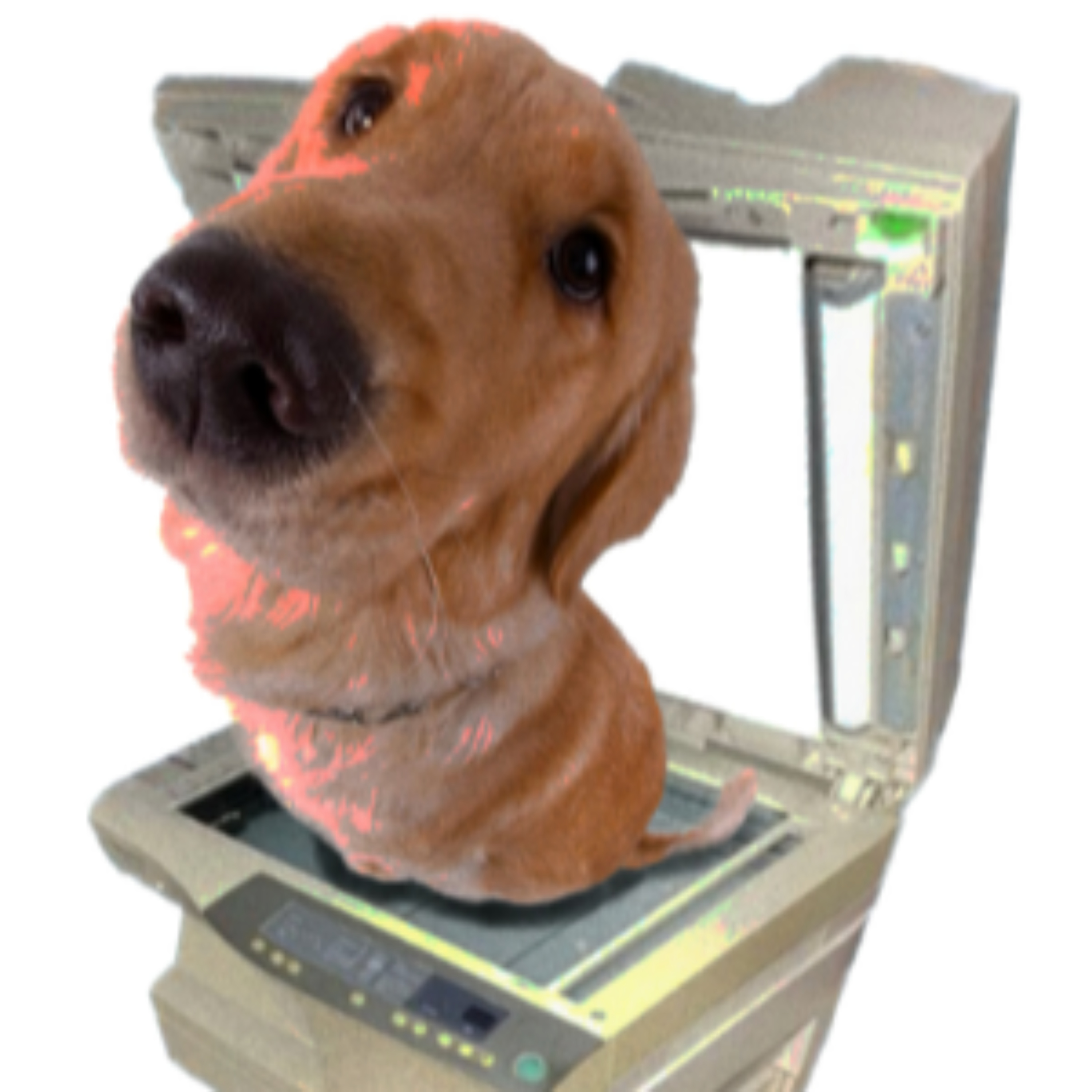 Woof and Print podcast artwork