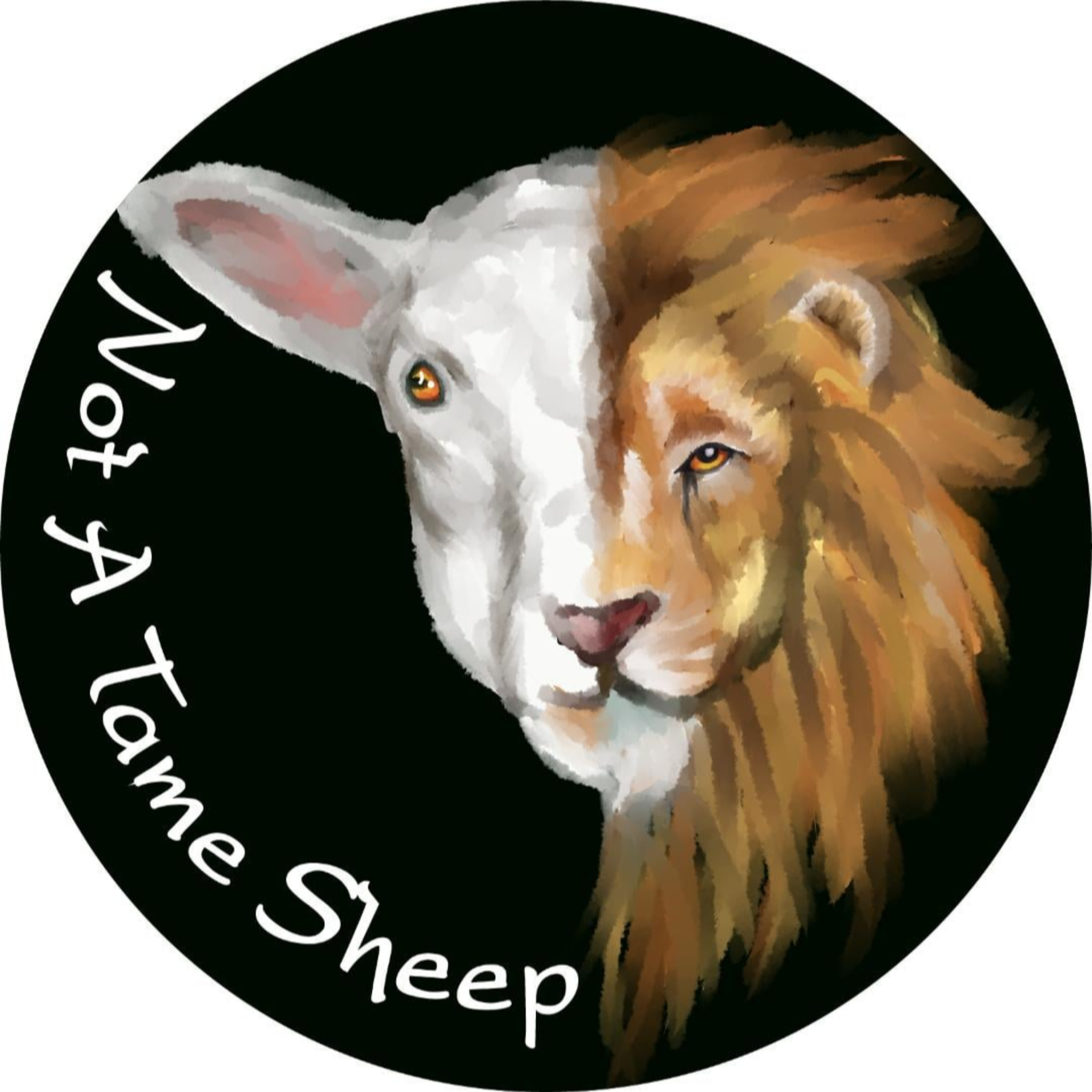 Not a Tame Sheep podcast artwork