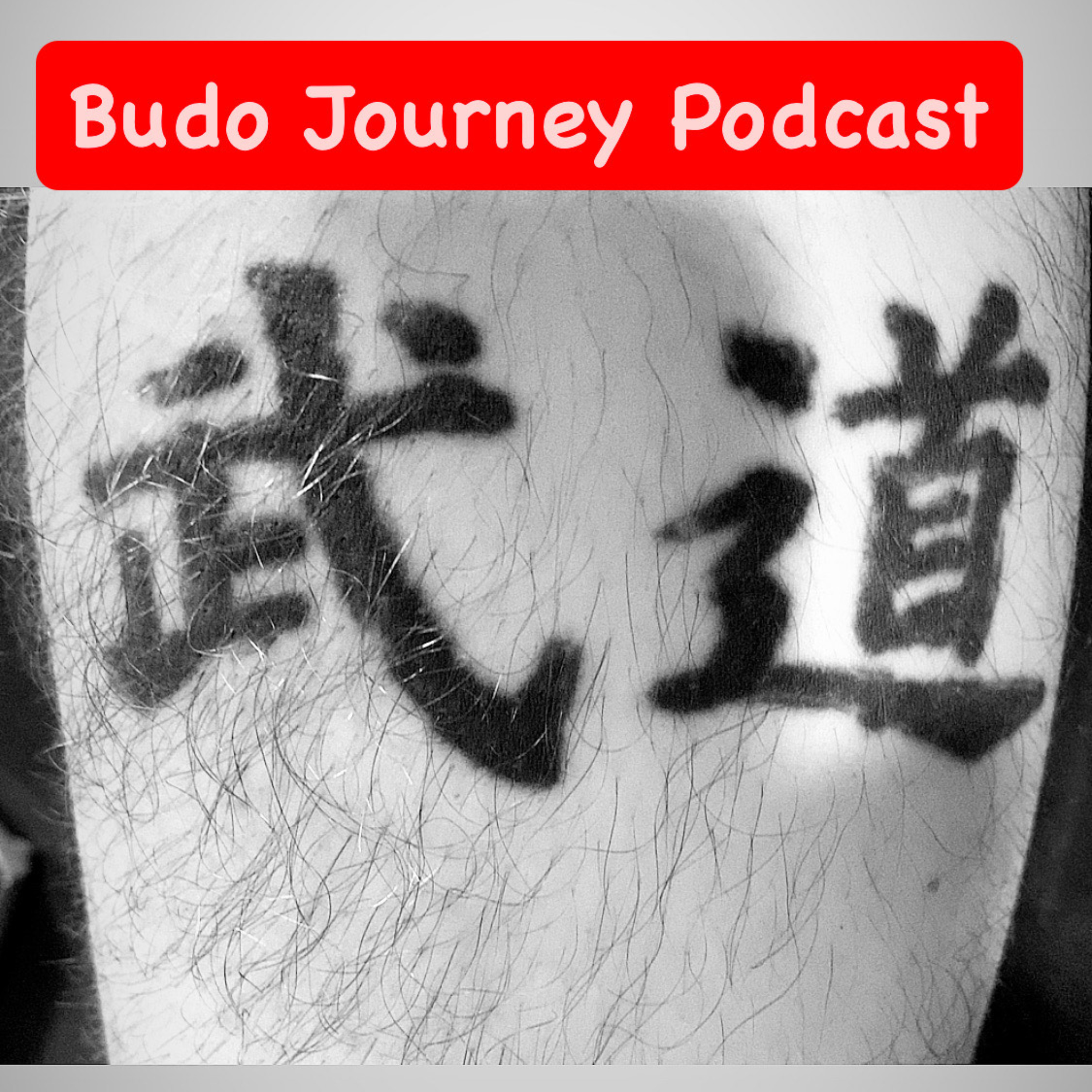Budo Journey Podcast podcast artwork