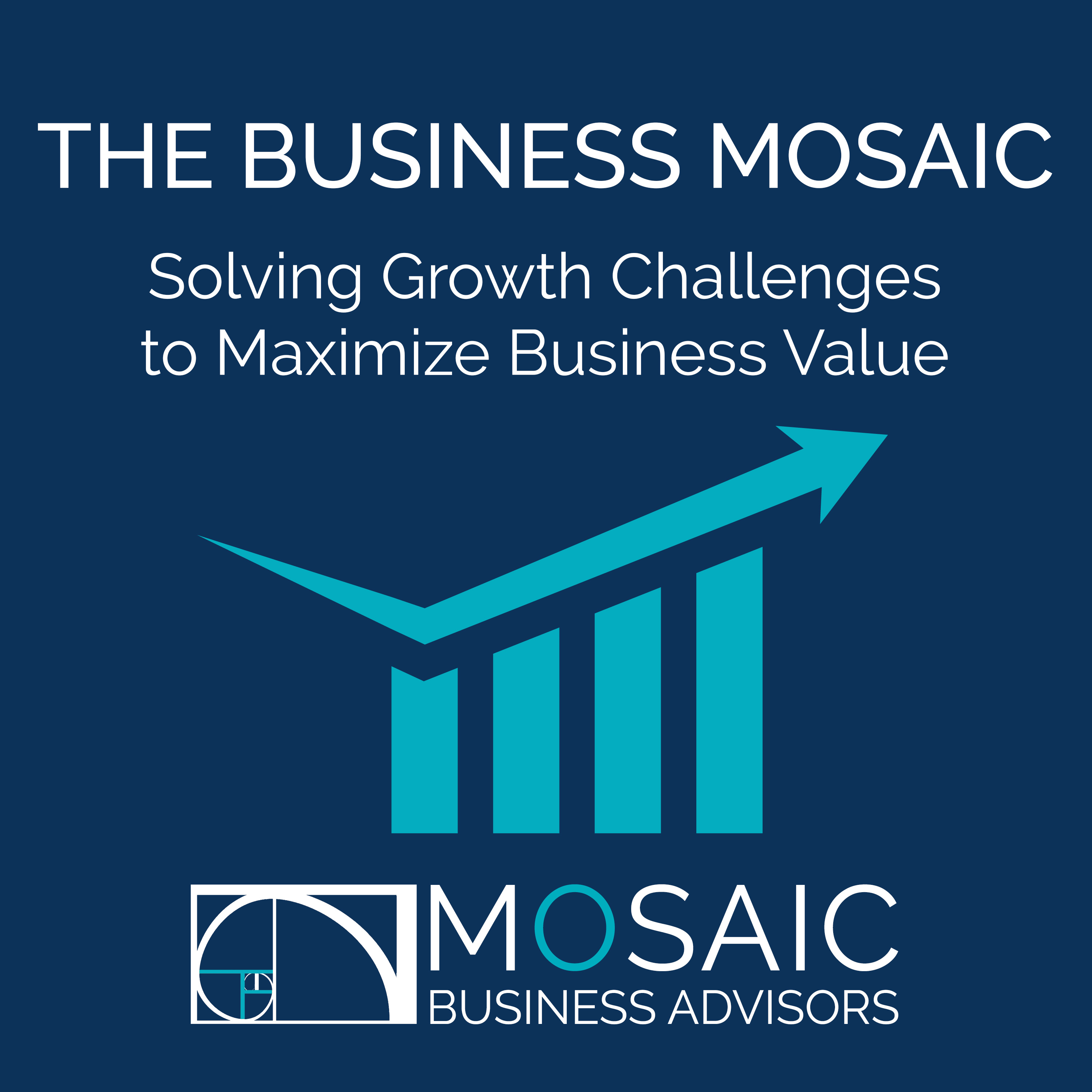 The Business Mosaic podcast artwork