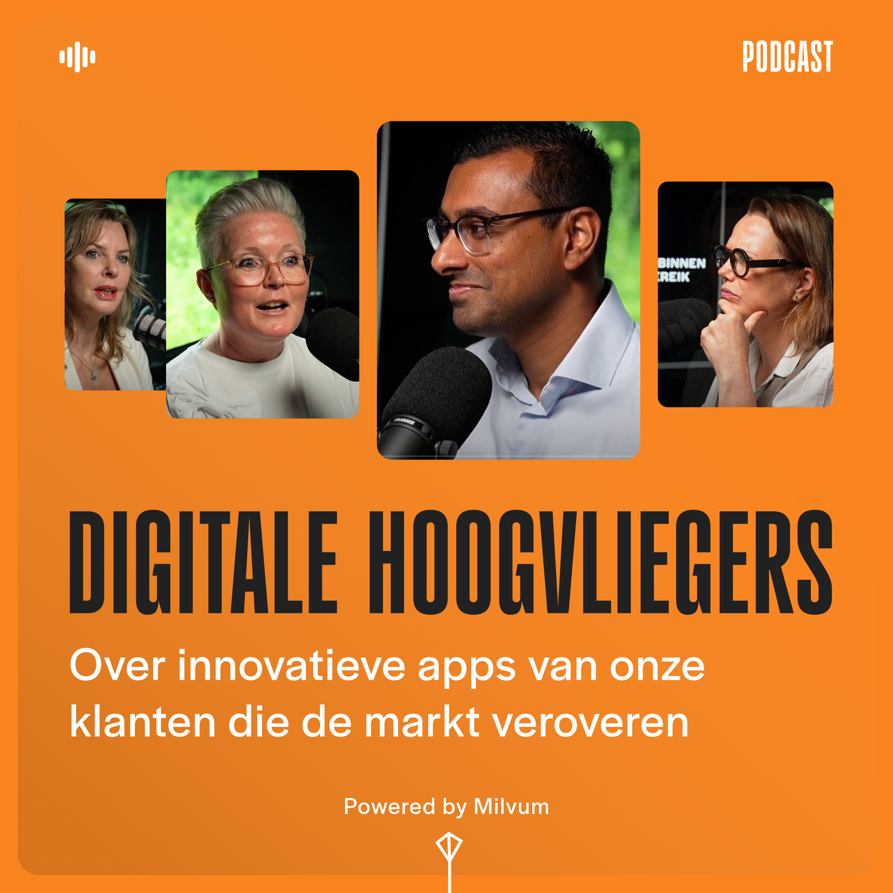Digitale Hoogvliegers podcast artwork