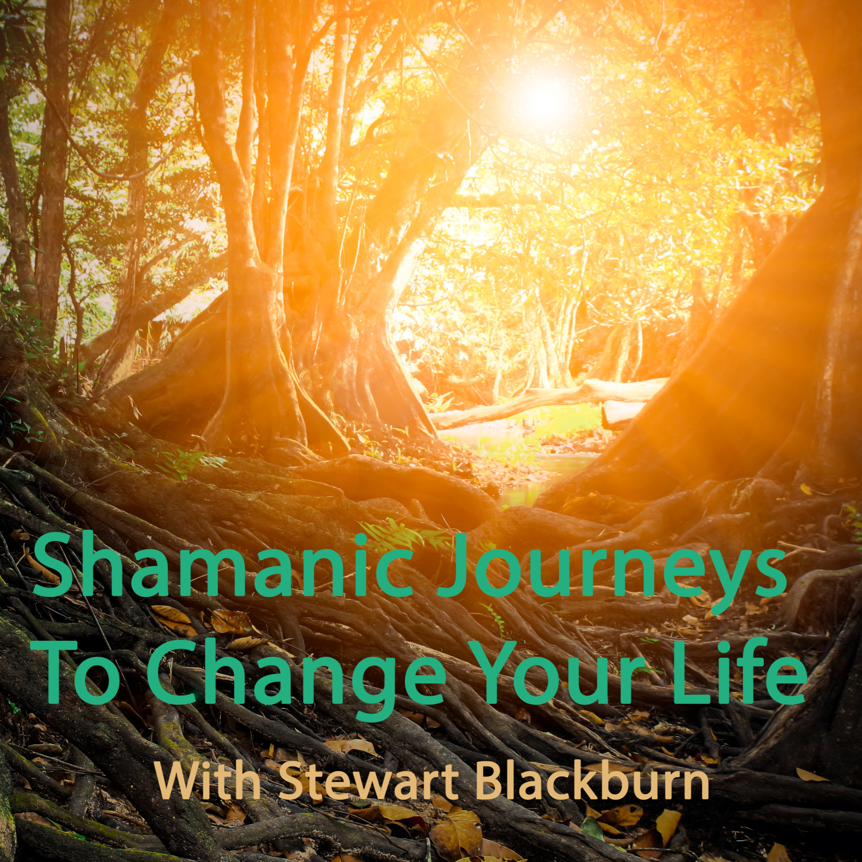 Shamanic Journeys to Change Your Life