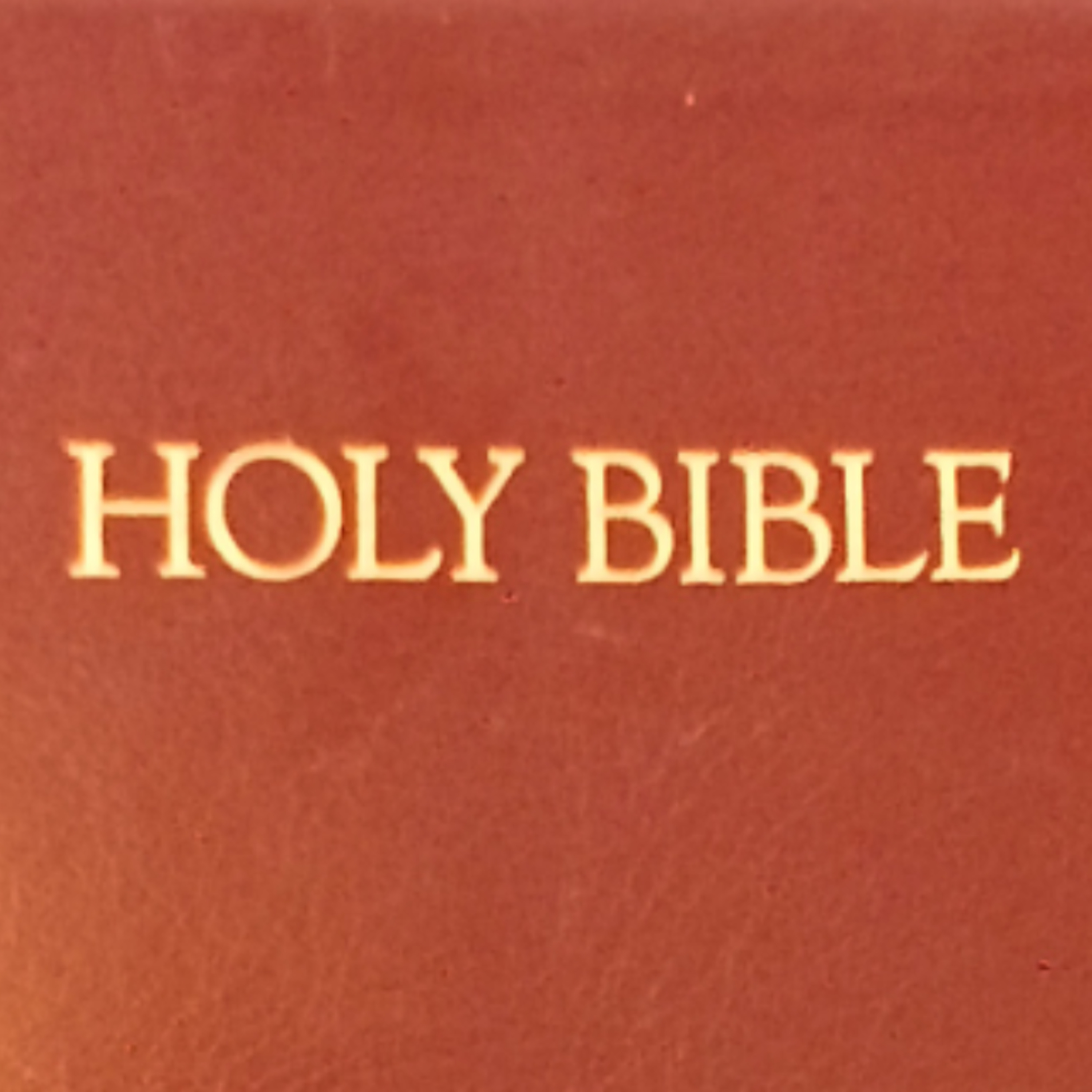 Song of Solomon chapter 1