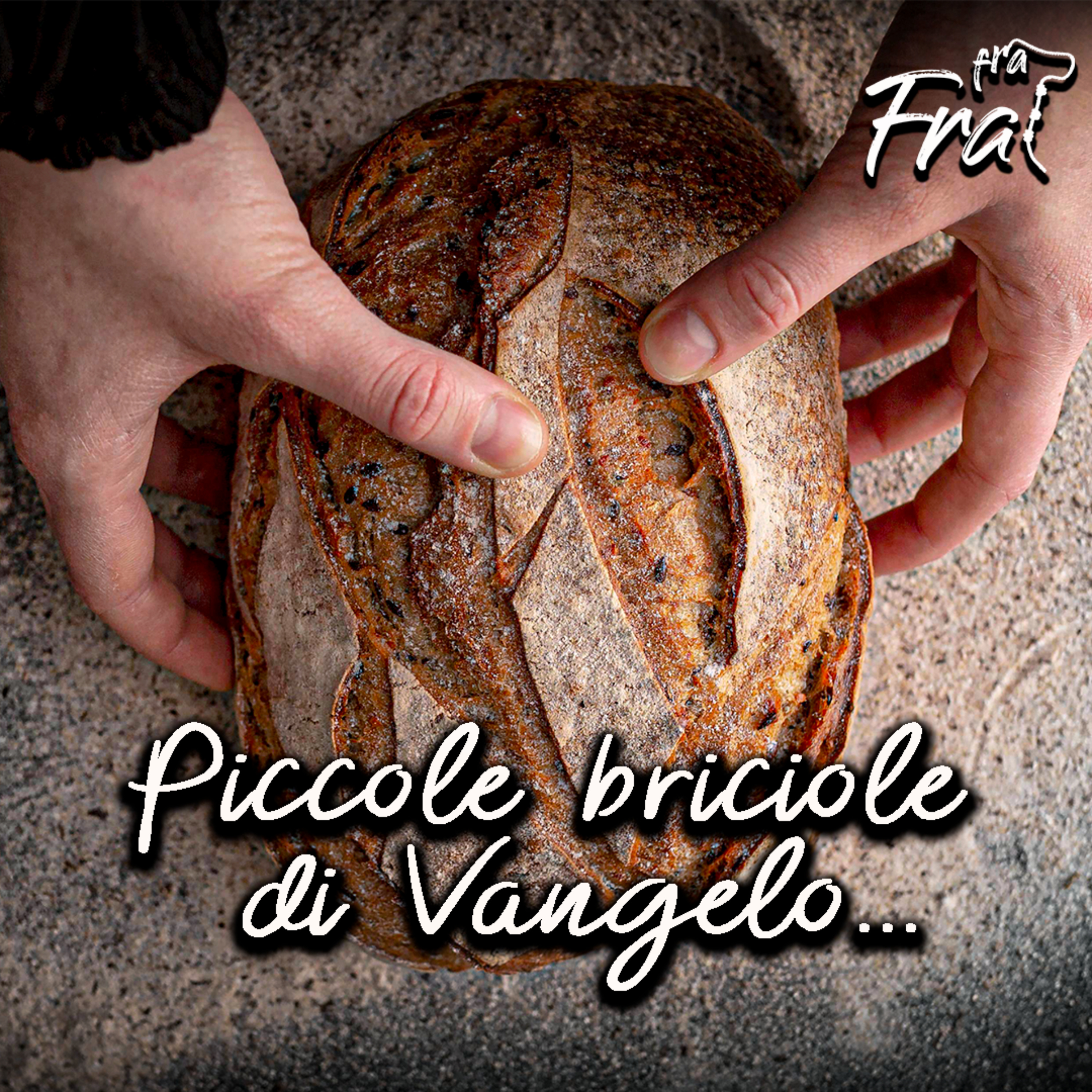 Copertina di Piccole briciole di Vangelo