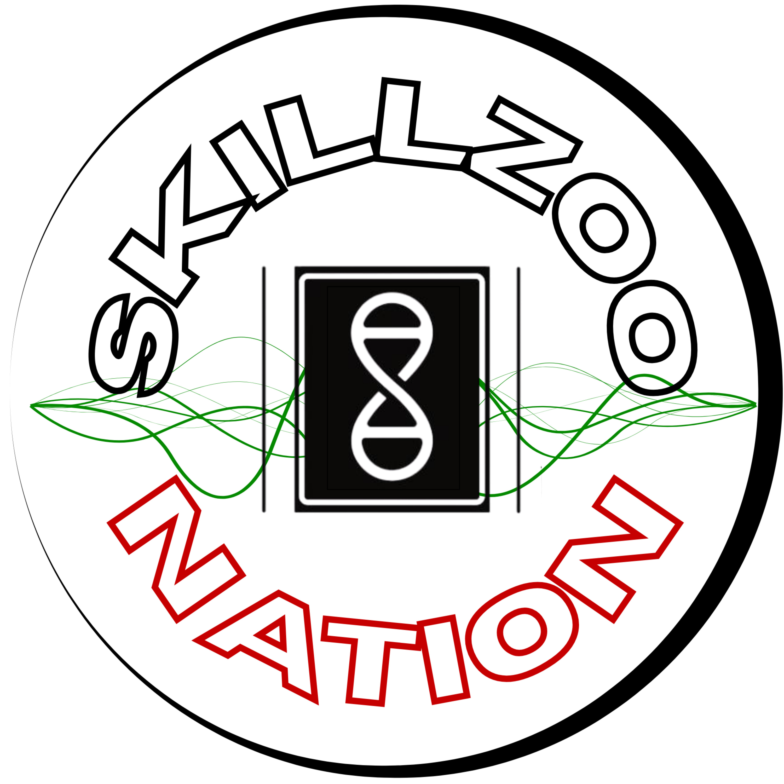 Skillzoo Nation - l'humain derrière le parcours podcast artwork