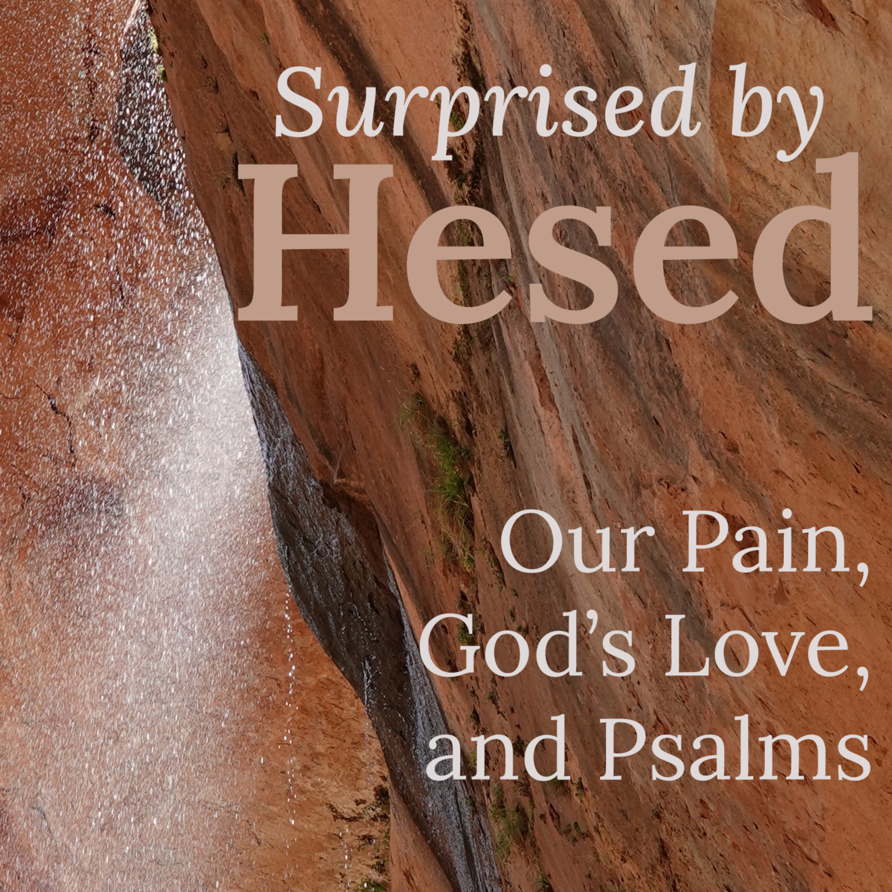 Surprised by Hesed: Our Pain, God\'s Love, and Psalms
