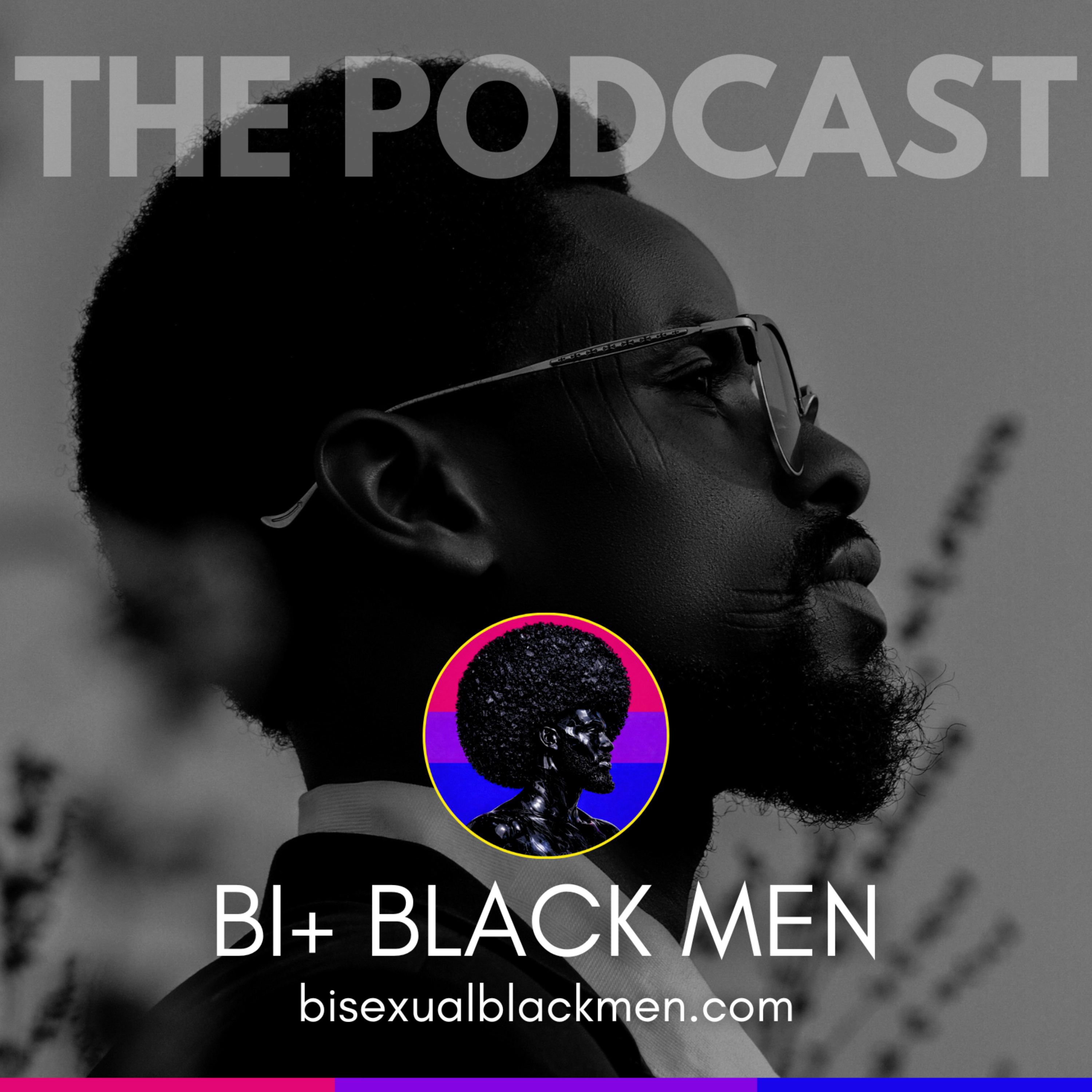Podcast Image