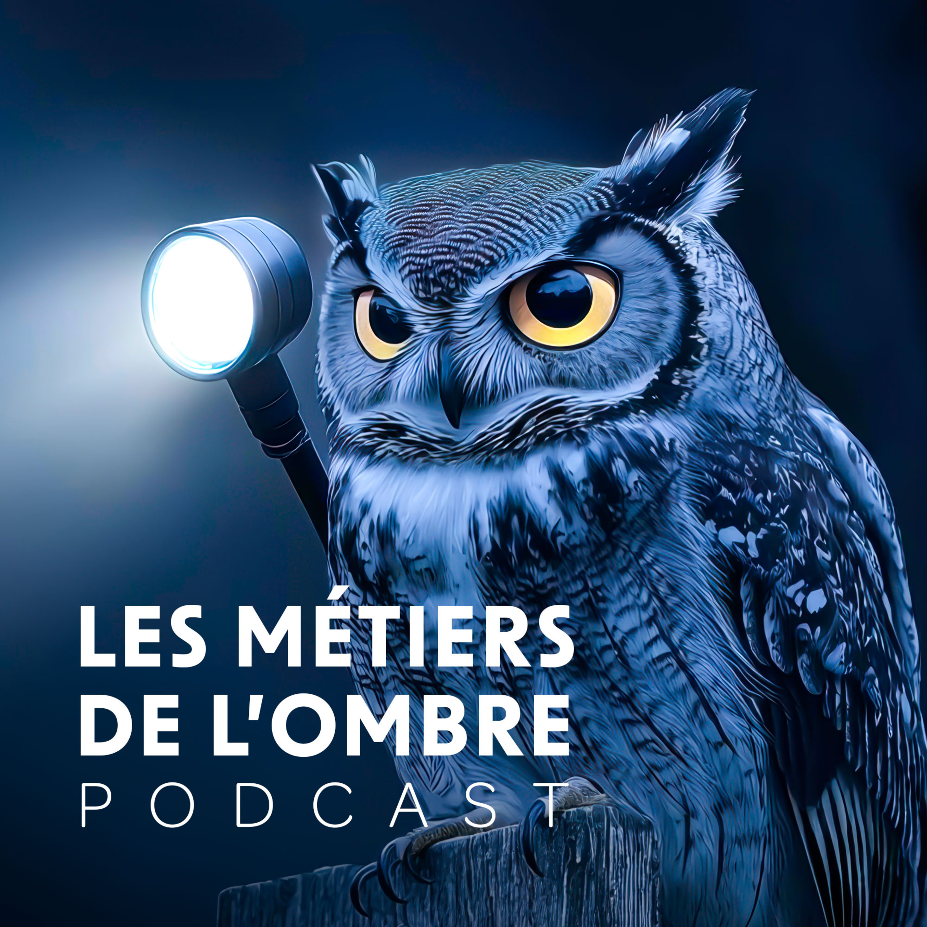 Les métiers de l'ombre podcast artwork