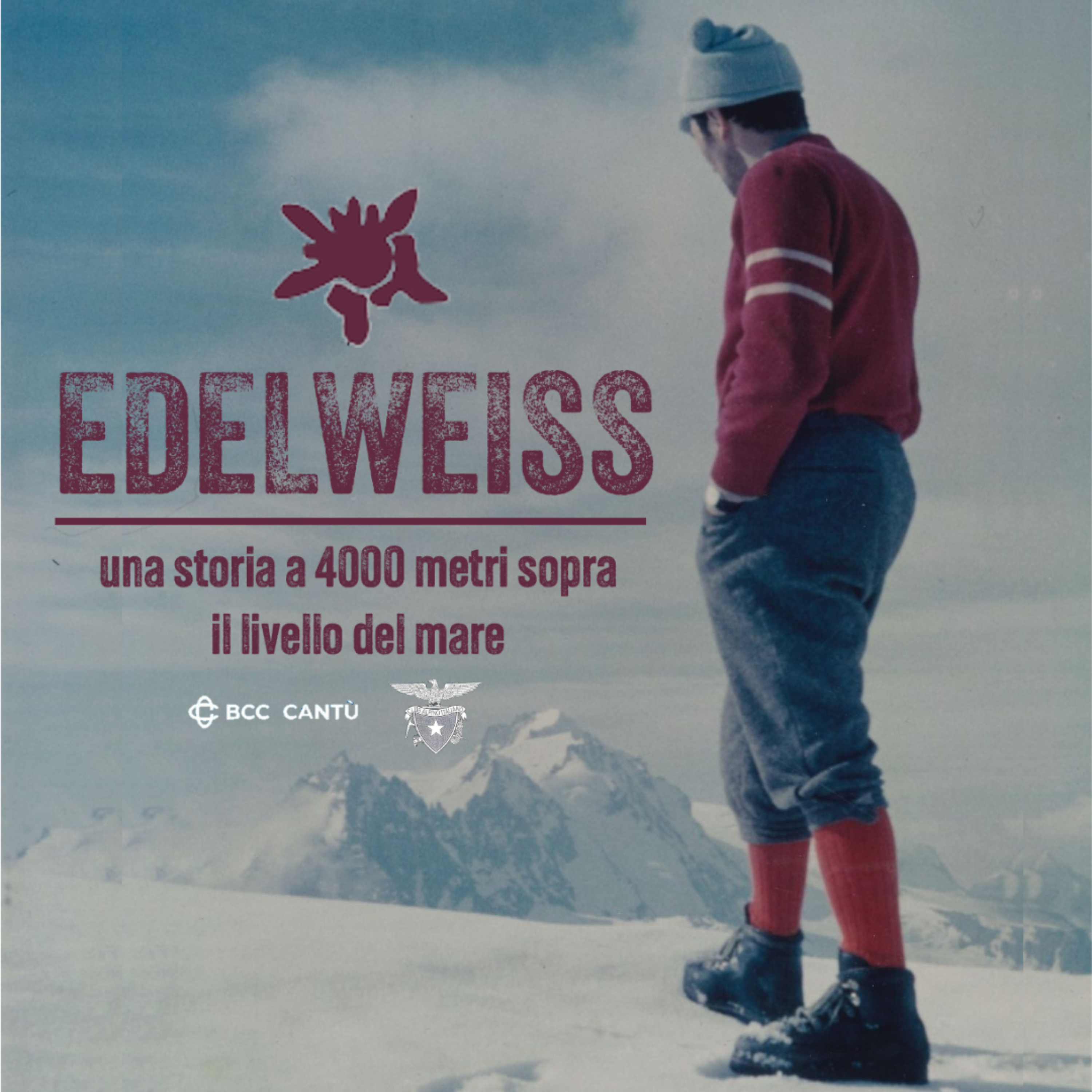 Edelweiss - una storia a 4000 metri sopra il livello del mare podcast artwork