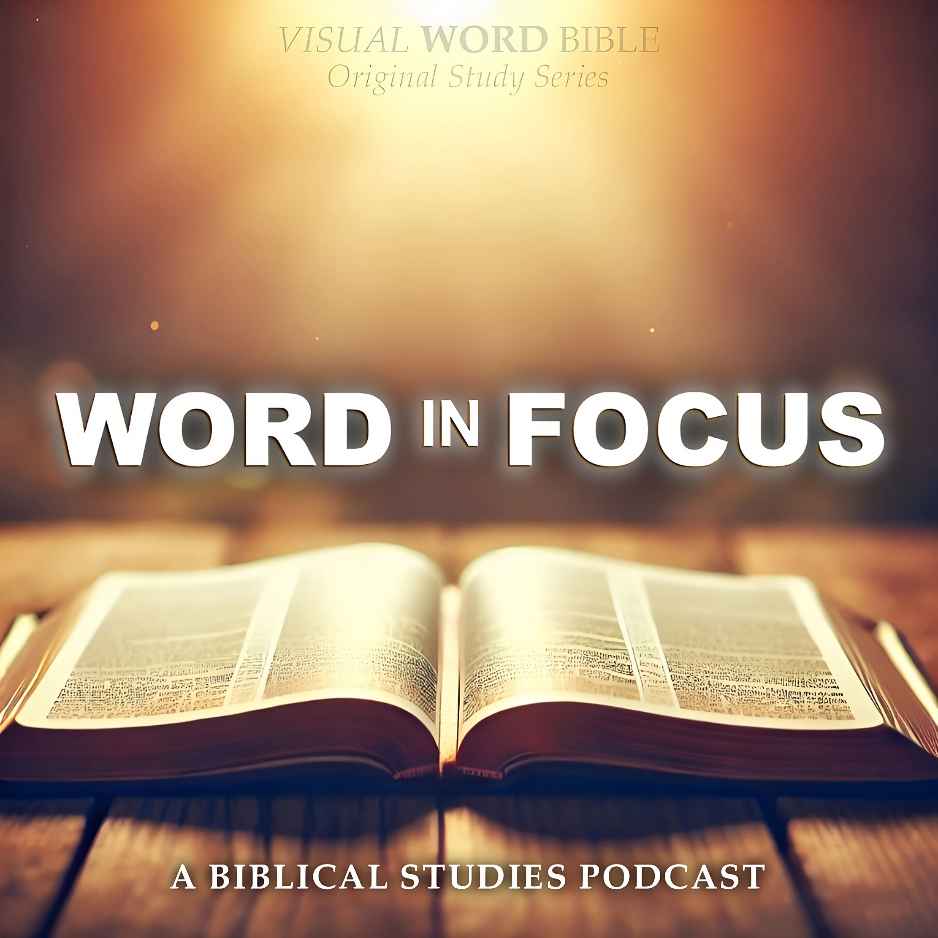 Word in Focus