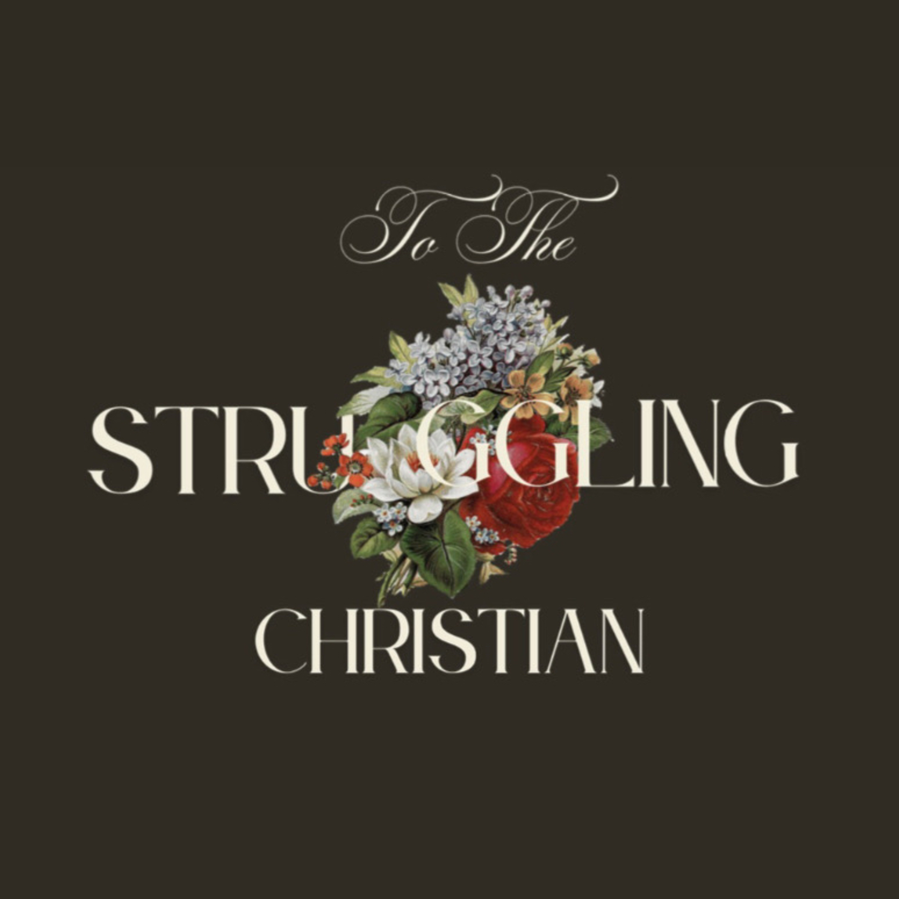 To the struggling Christian podcast artwork