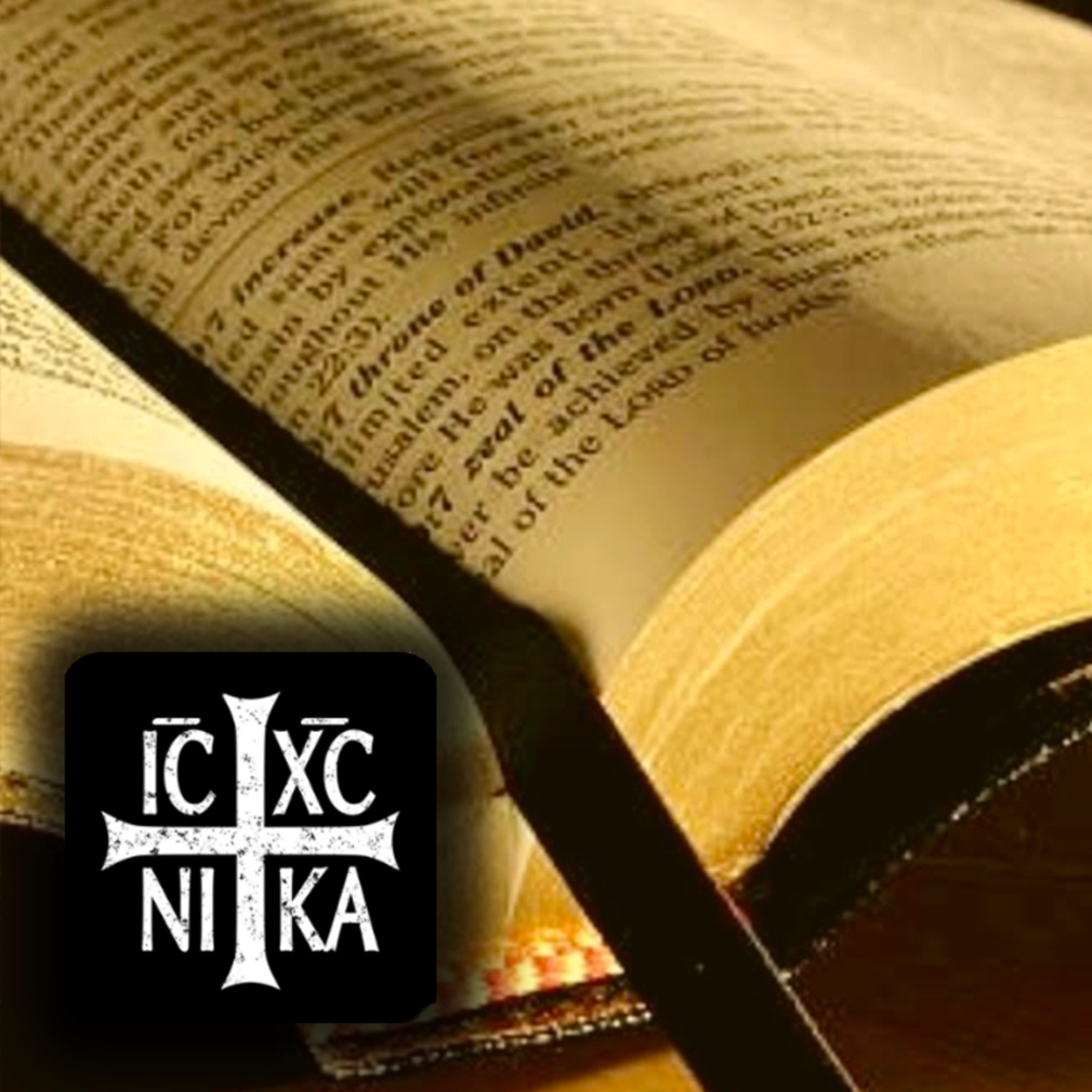 Daily NKJV New Testament Chapter (Audio-Bible)