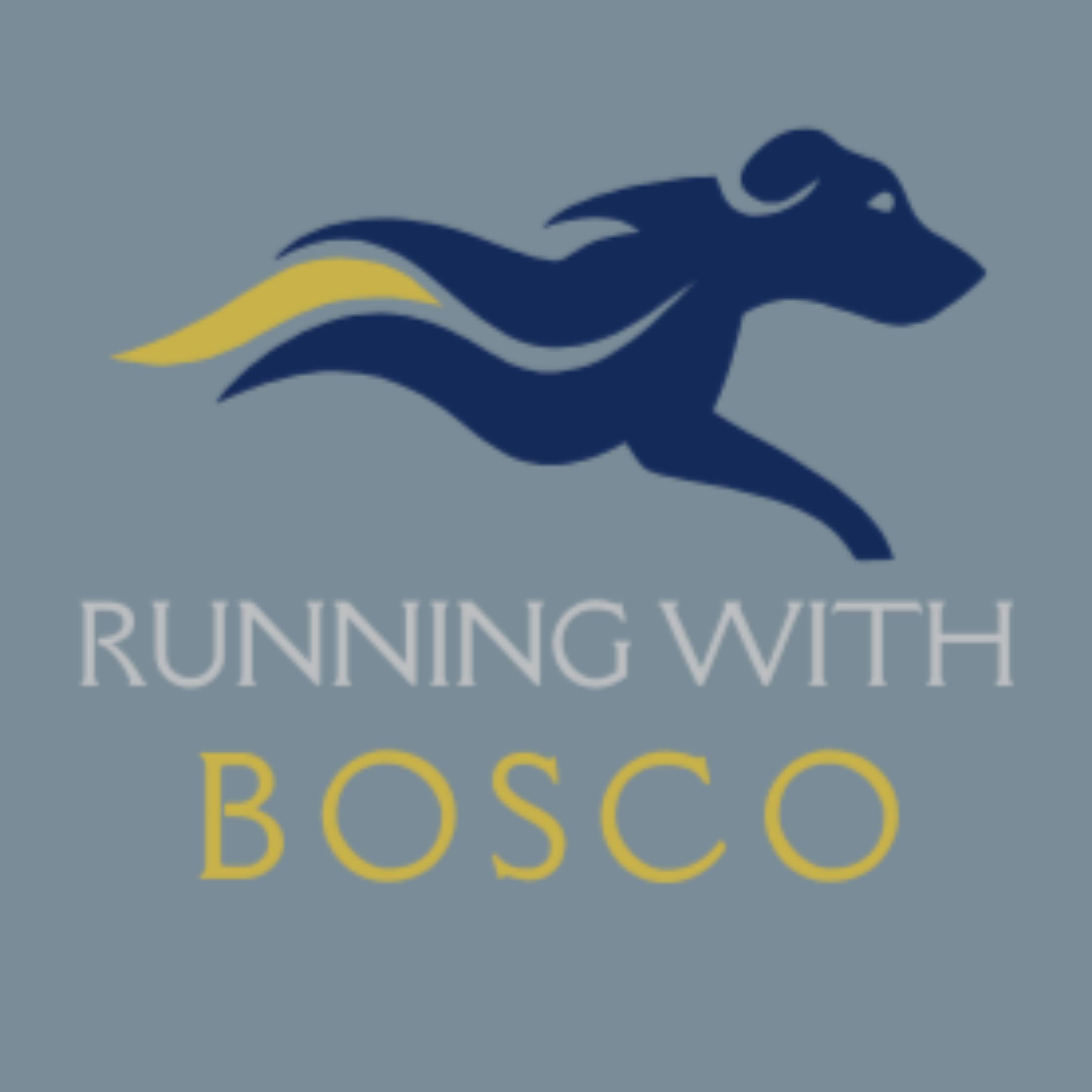 Running with Bosco