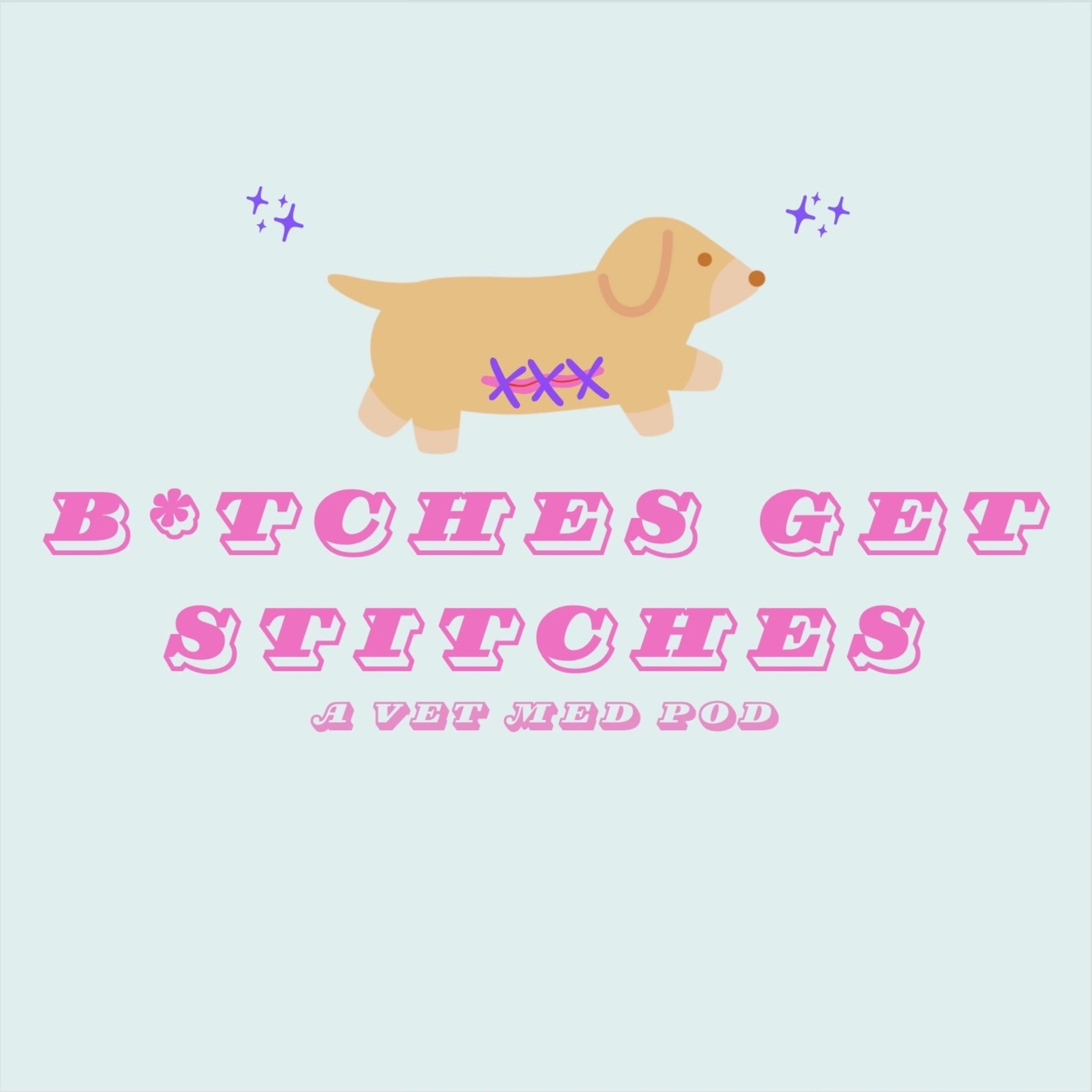 B*tches Get Stitches: A Vet Med Podcast podcast artwork