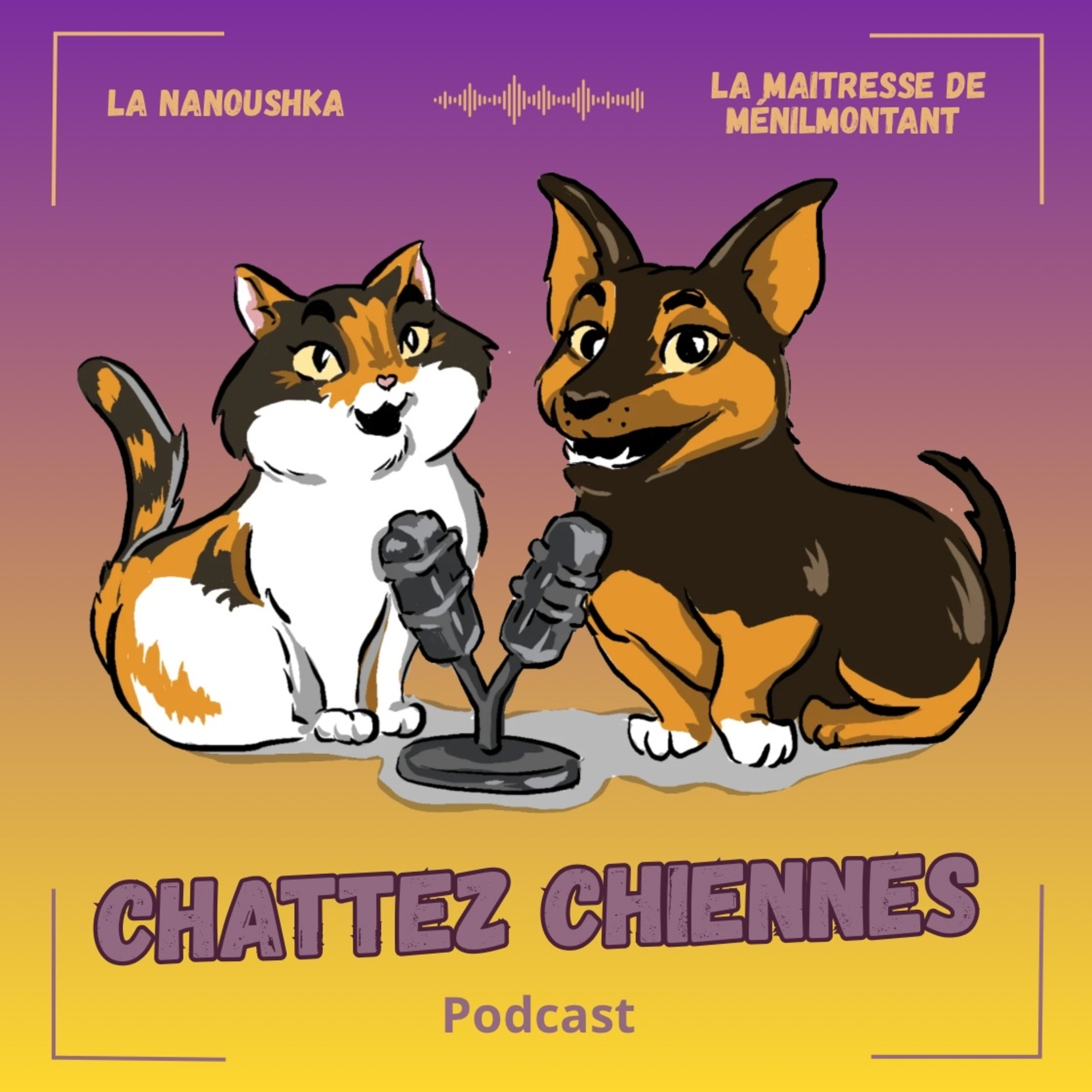 Chattez Chiennes