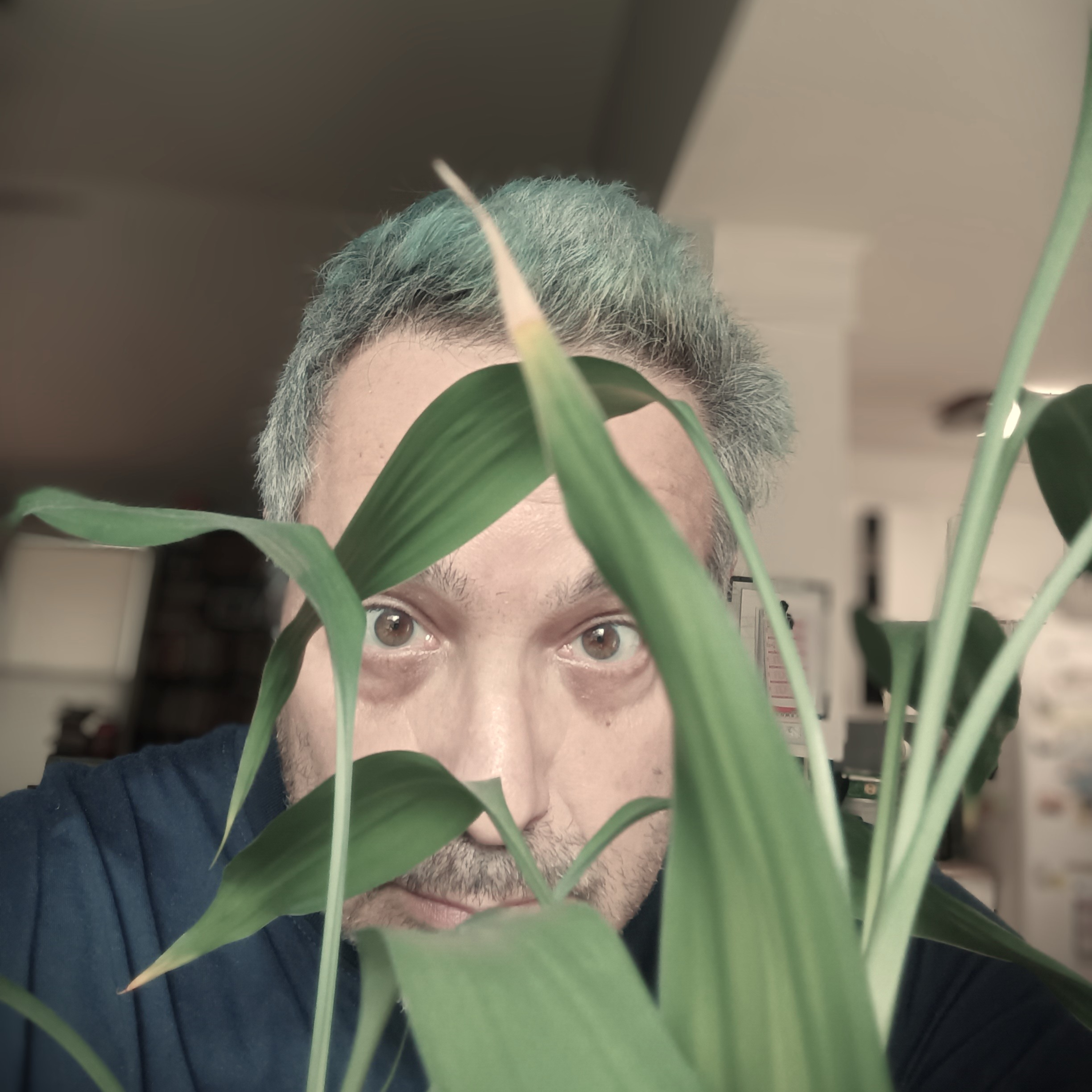 Confusional Arousals