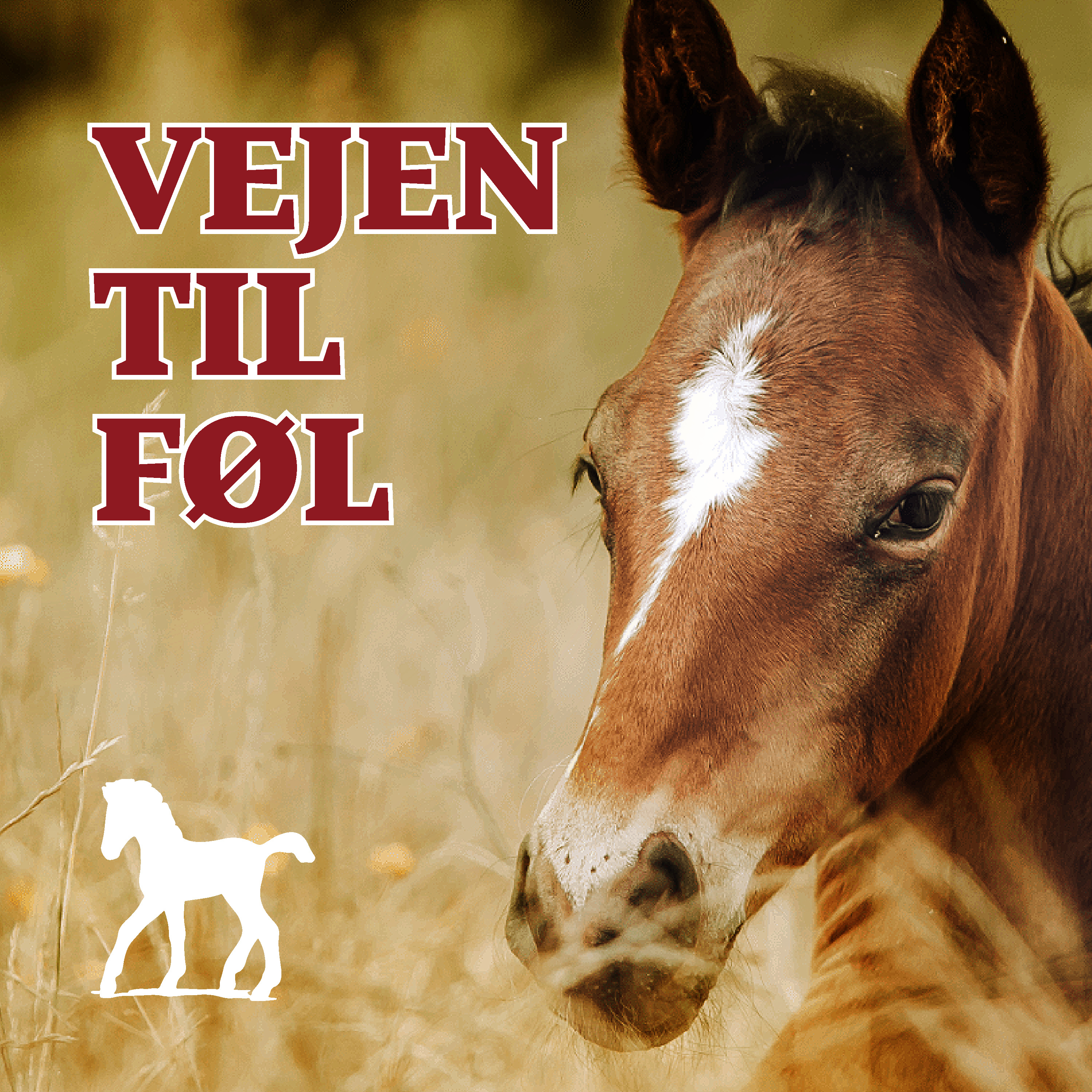 Vejen til Føl af Professor Anders Miki Bojesen og Morten Rønn Petersen, PhD, DVM, Dipl.ACT