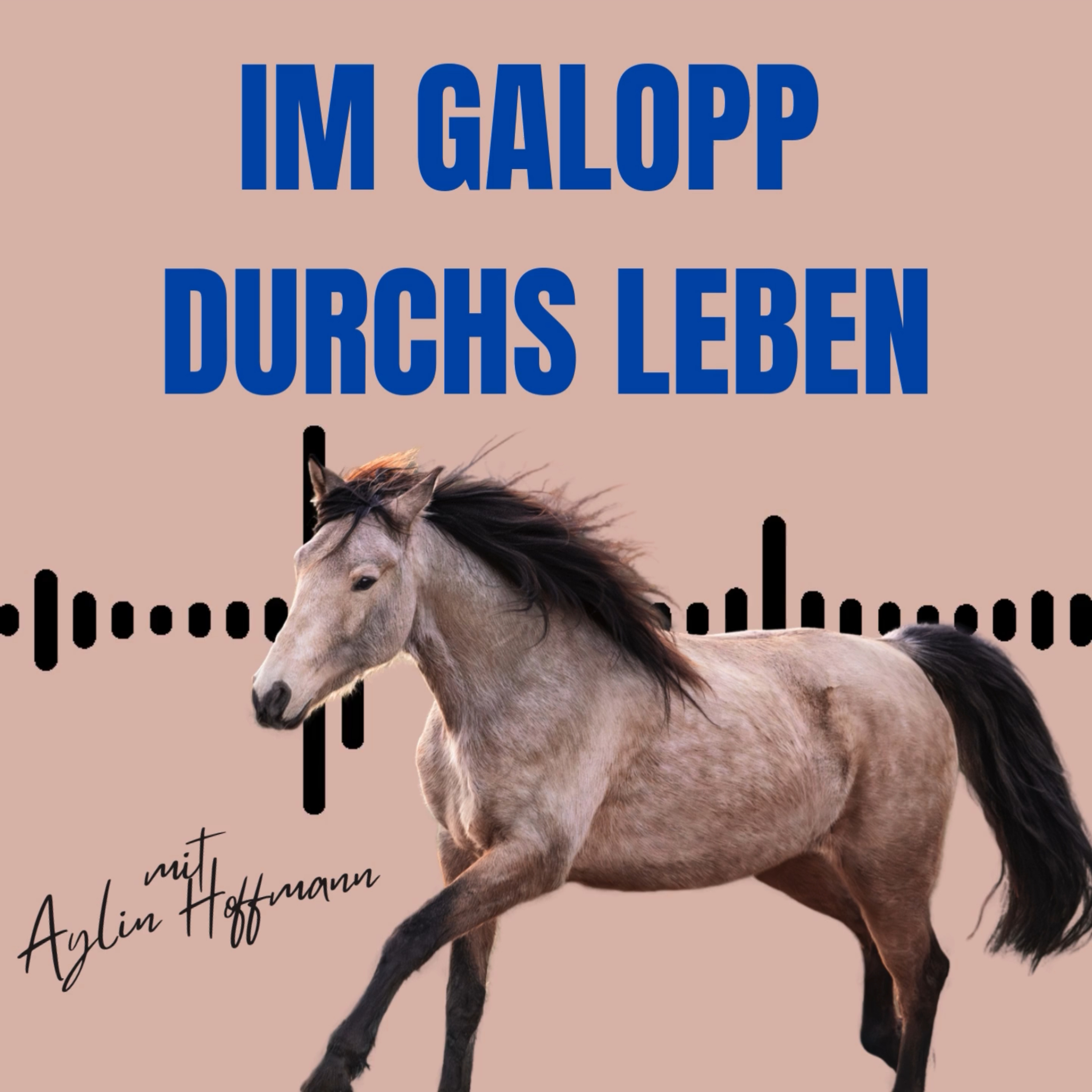 Im Galopp durchs Leben podcast artwork
