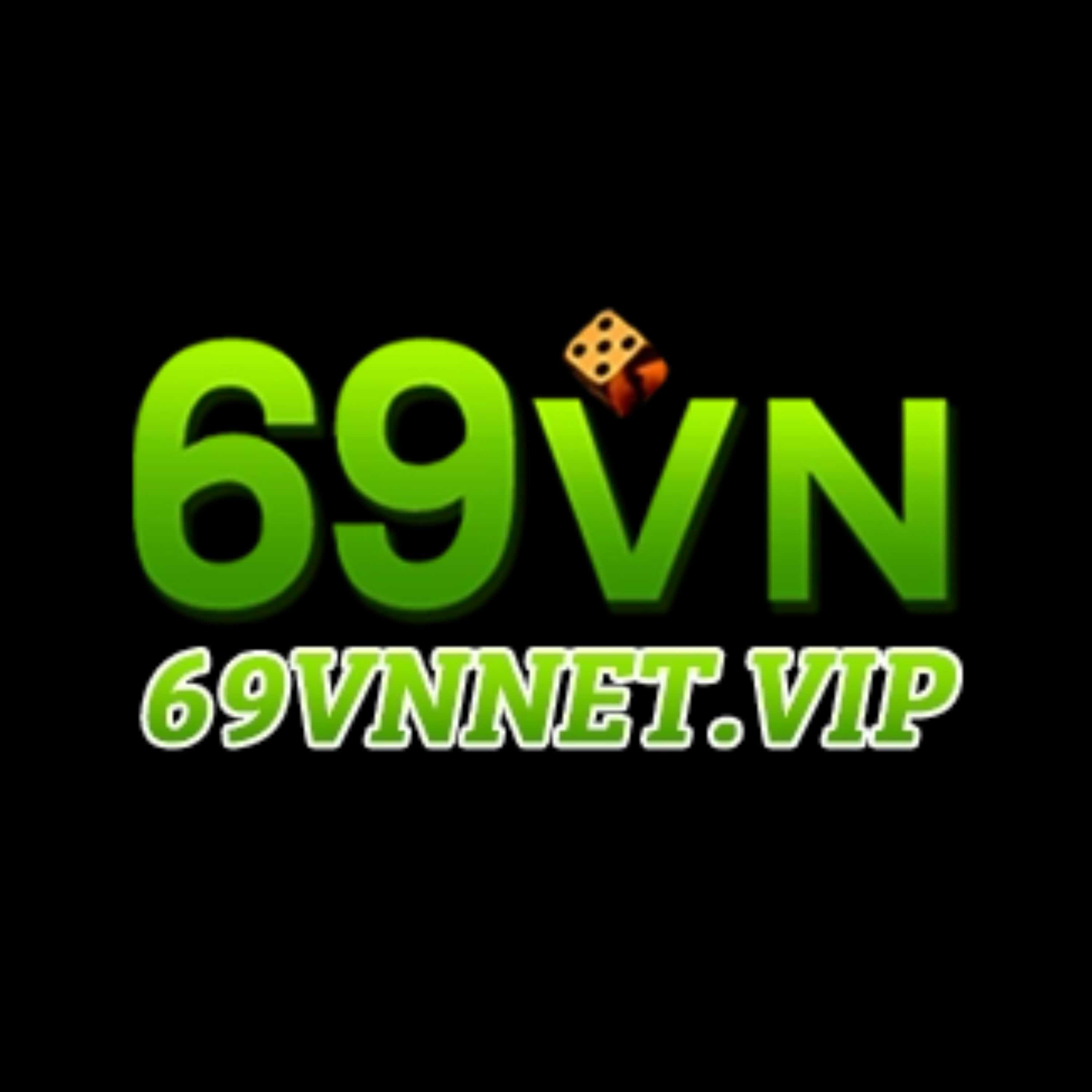69VN