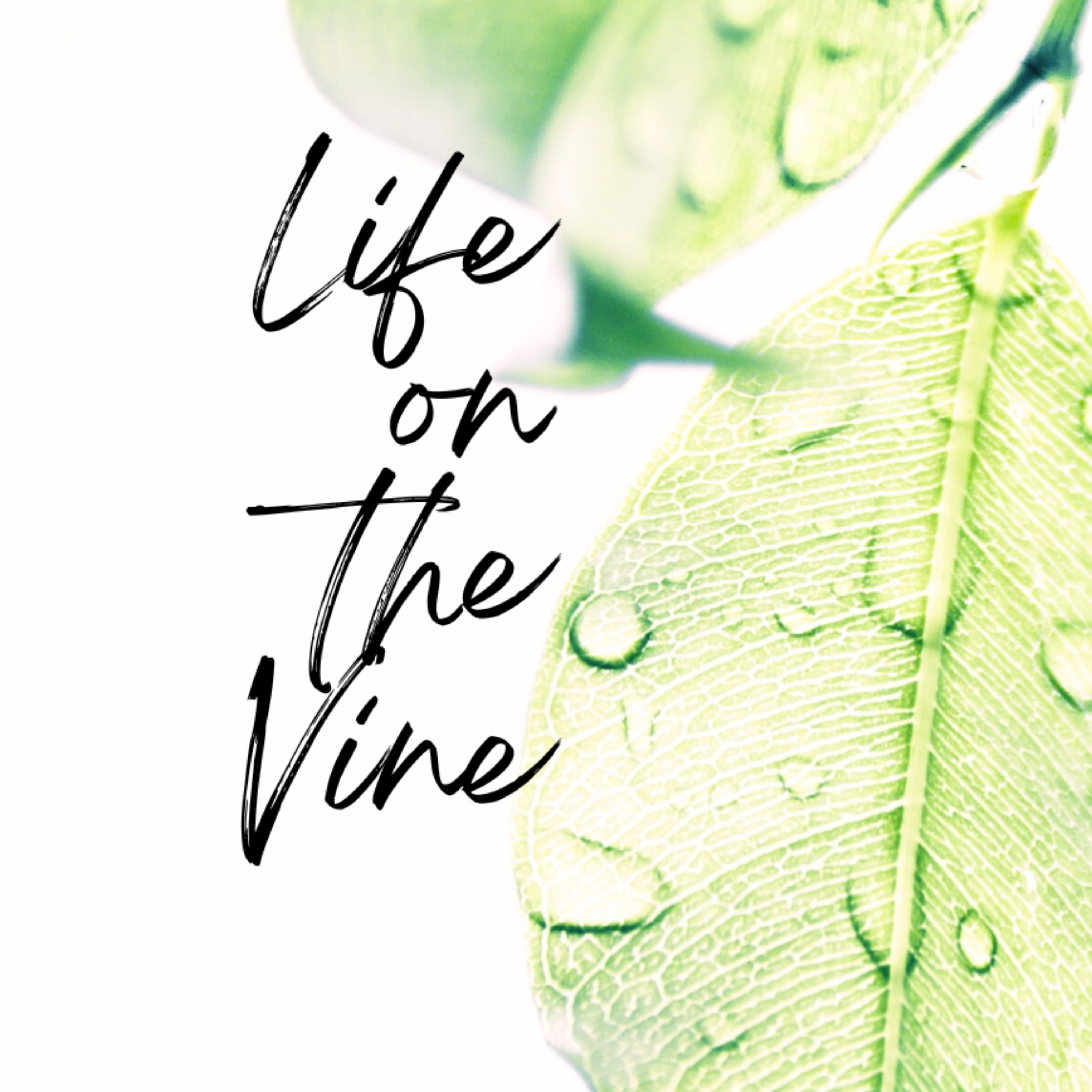 Life on the Vine podcast artwork