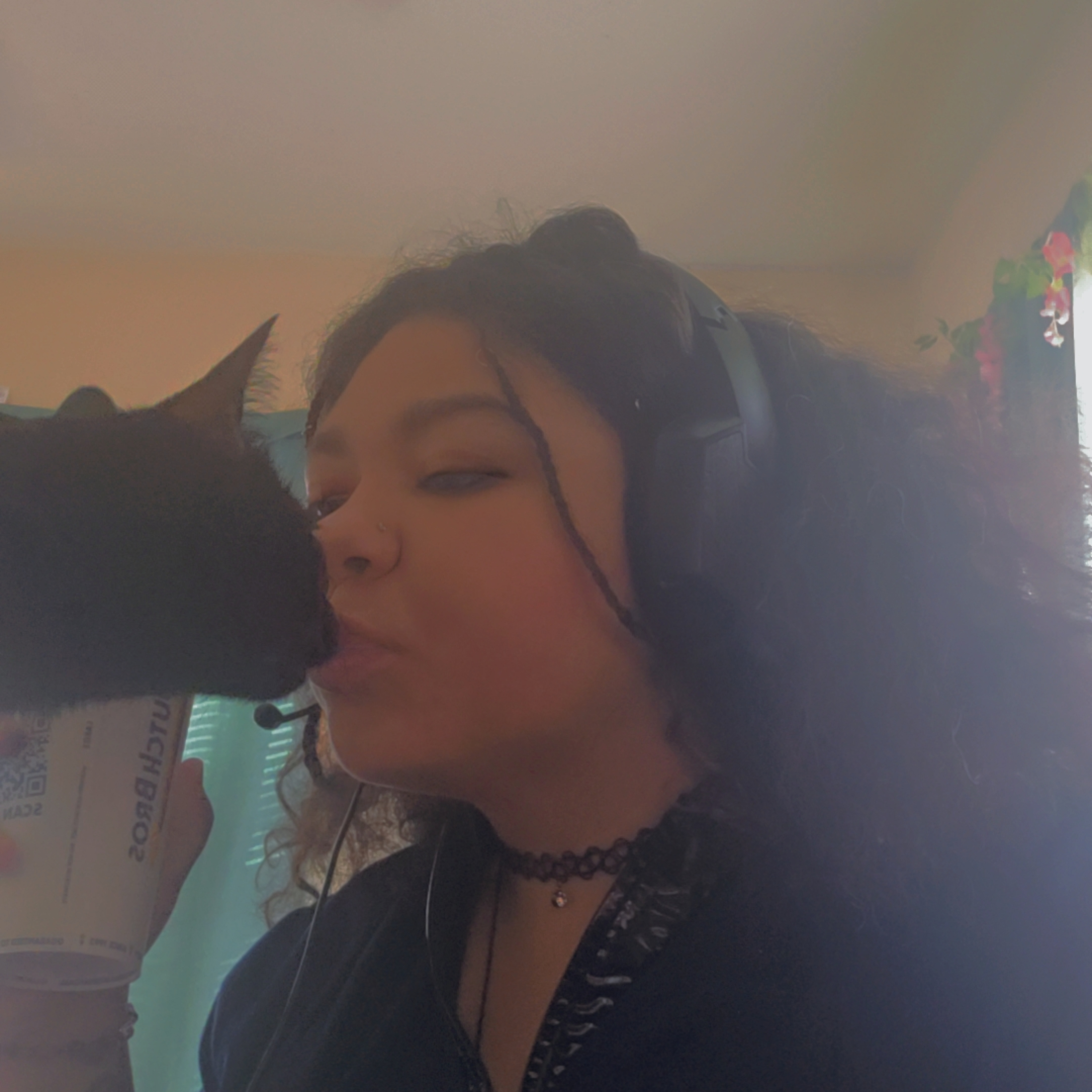 1-800-EchoCanYou cover art