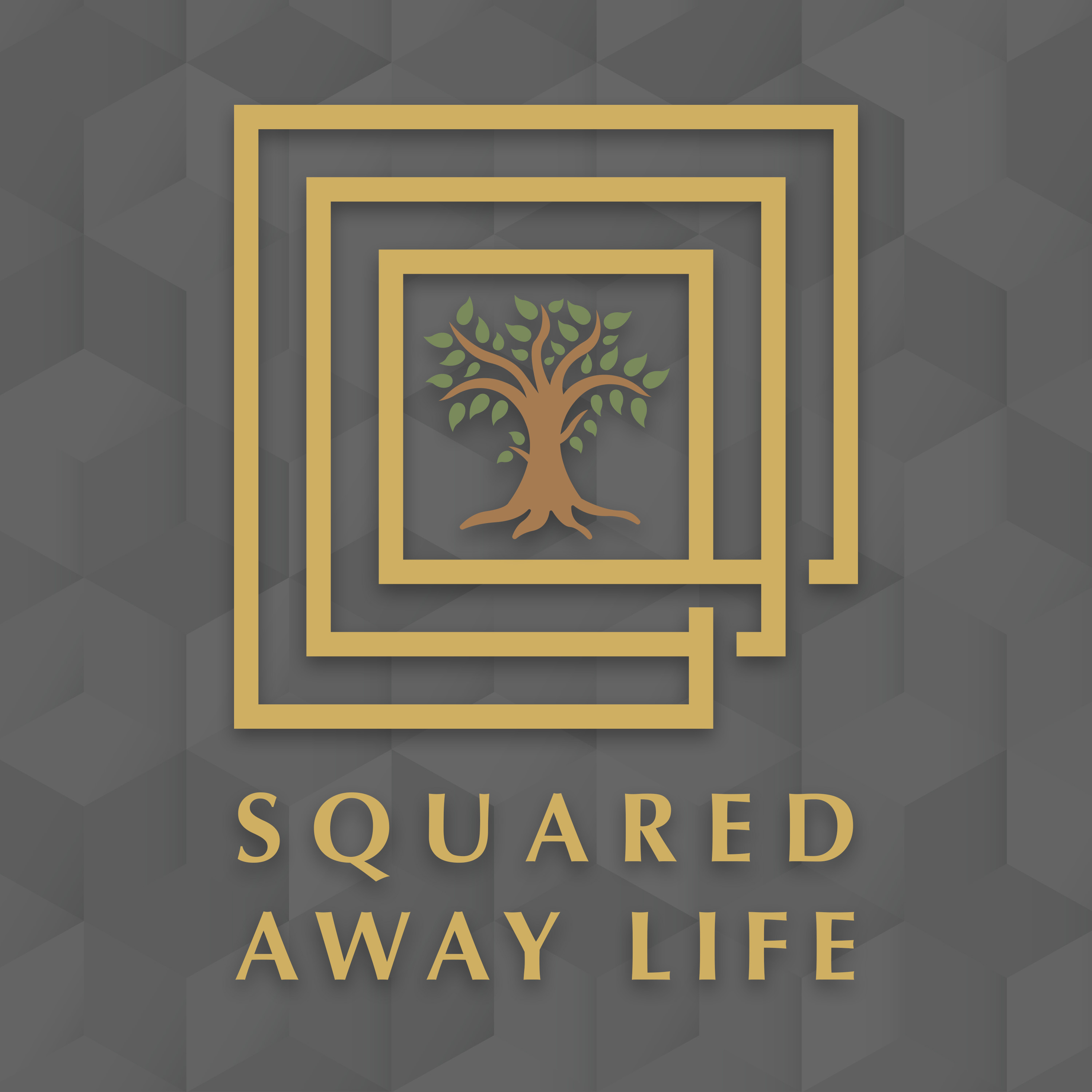 The Squared Away Life Podcast podcast artwork