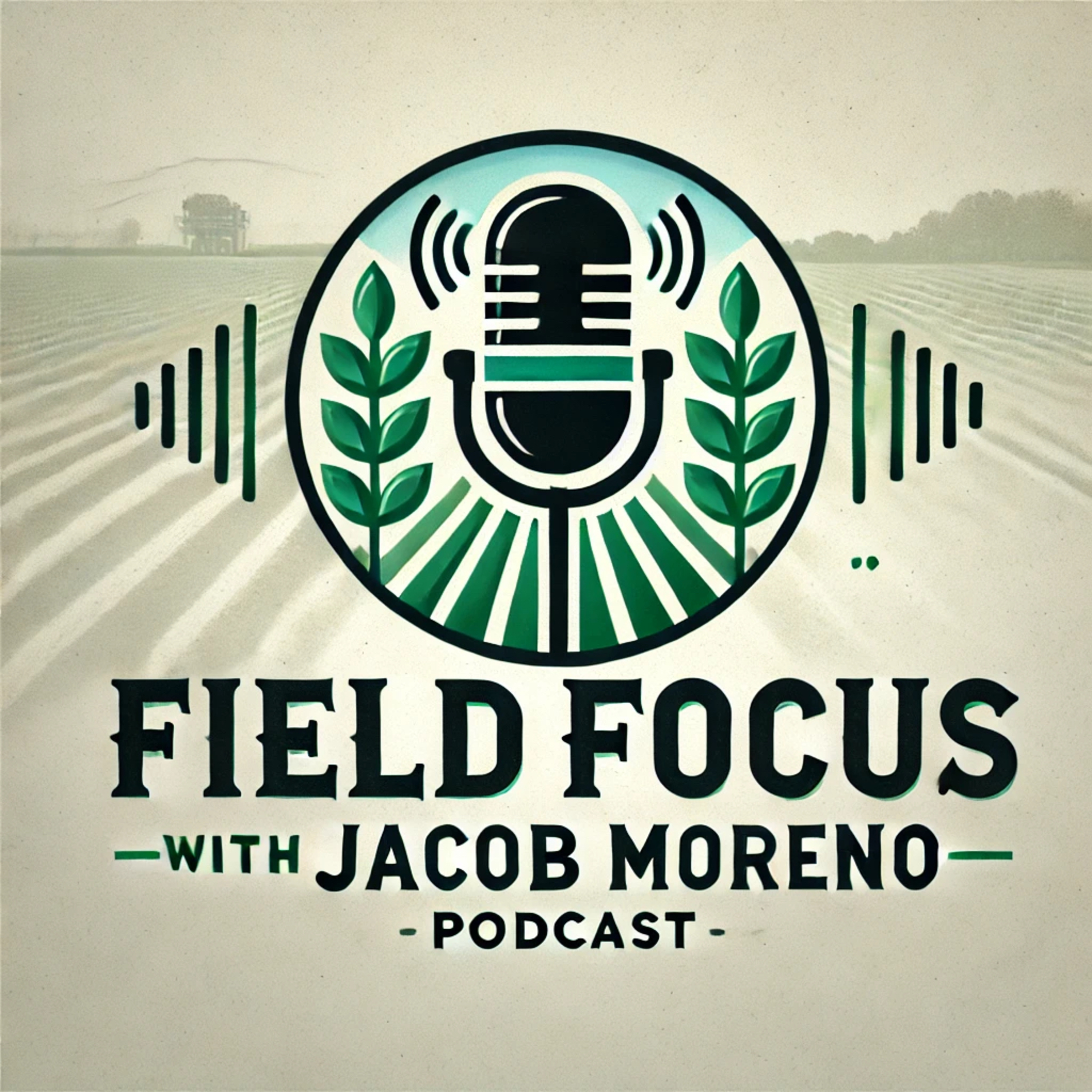 Field Focus