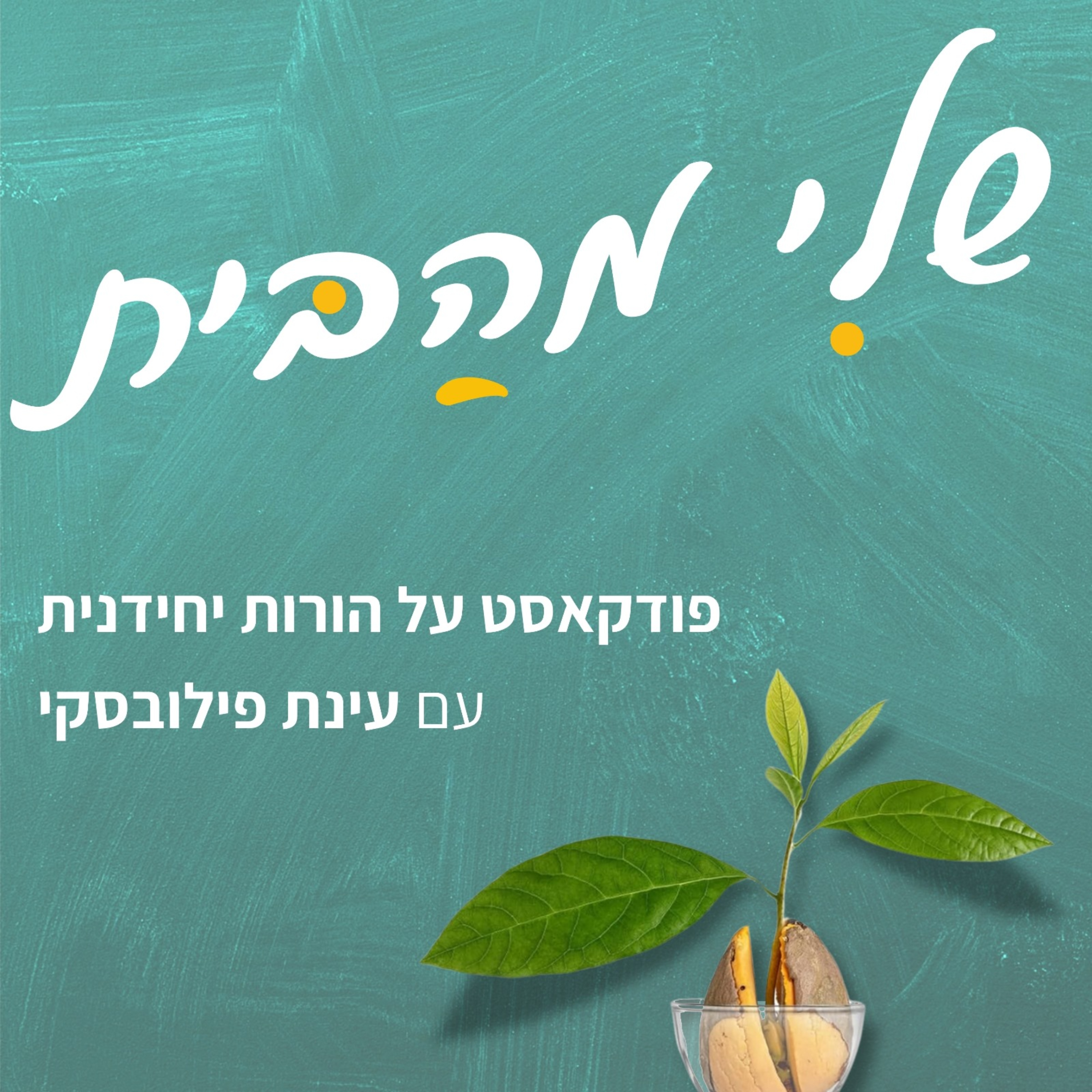 שלי מהבית, פודקאסט על הורות יחידנית