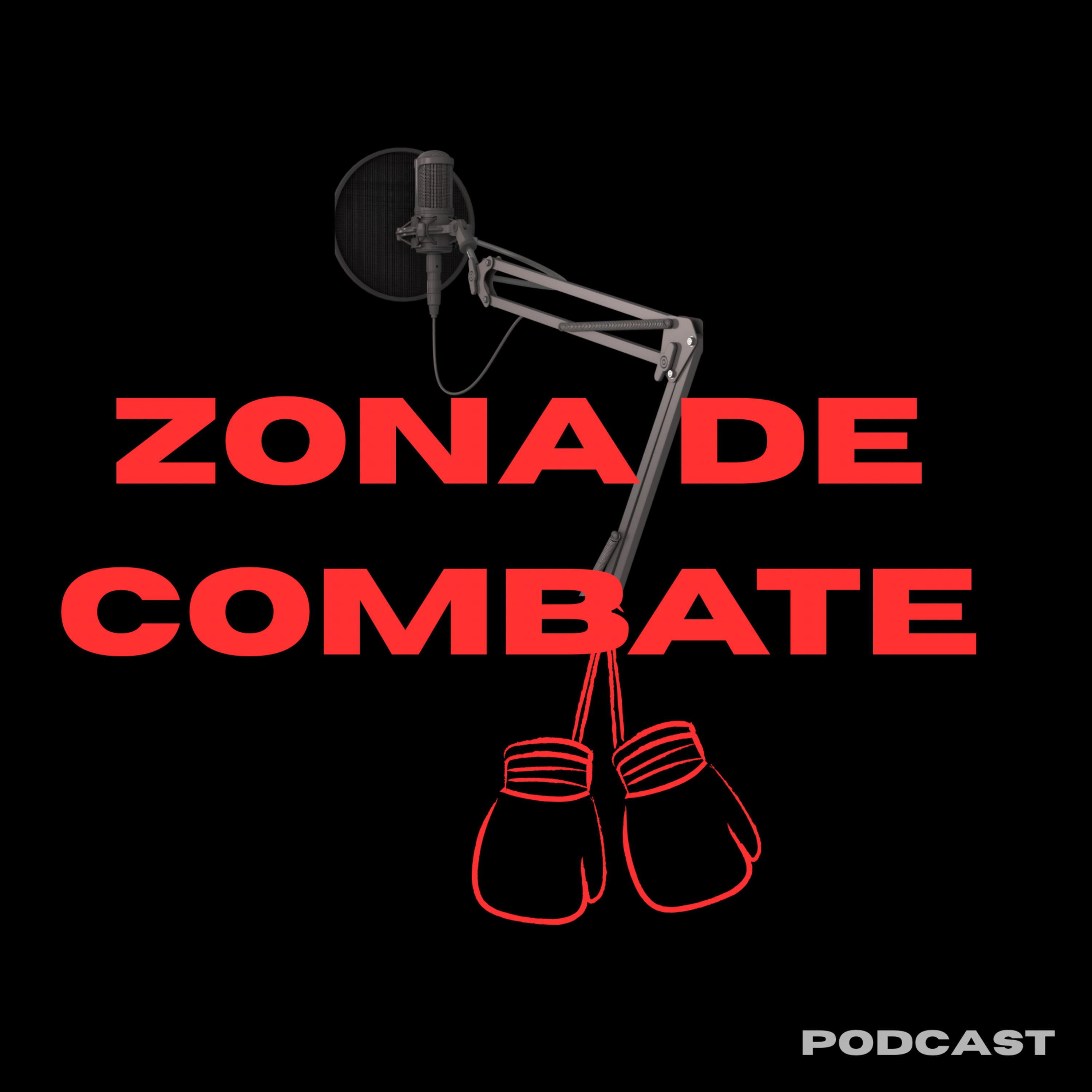 ZONA DE COMBATE cover art