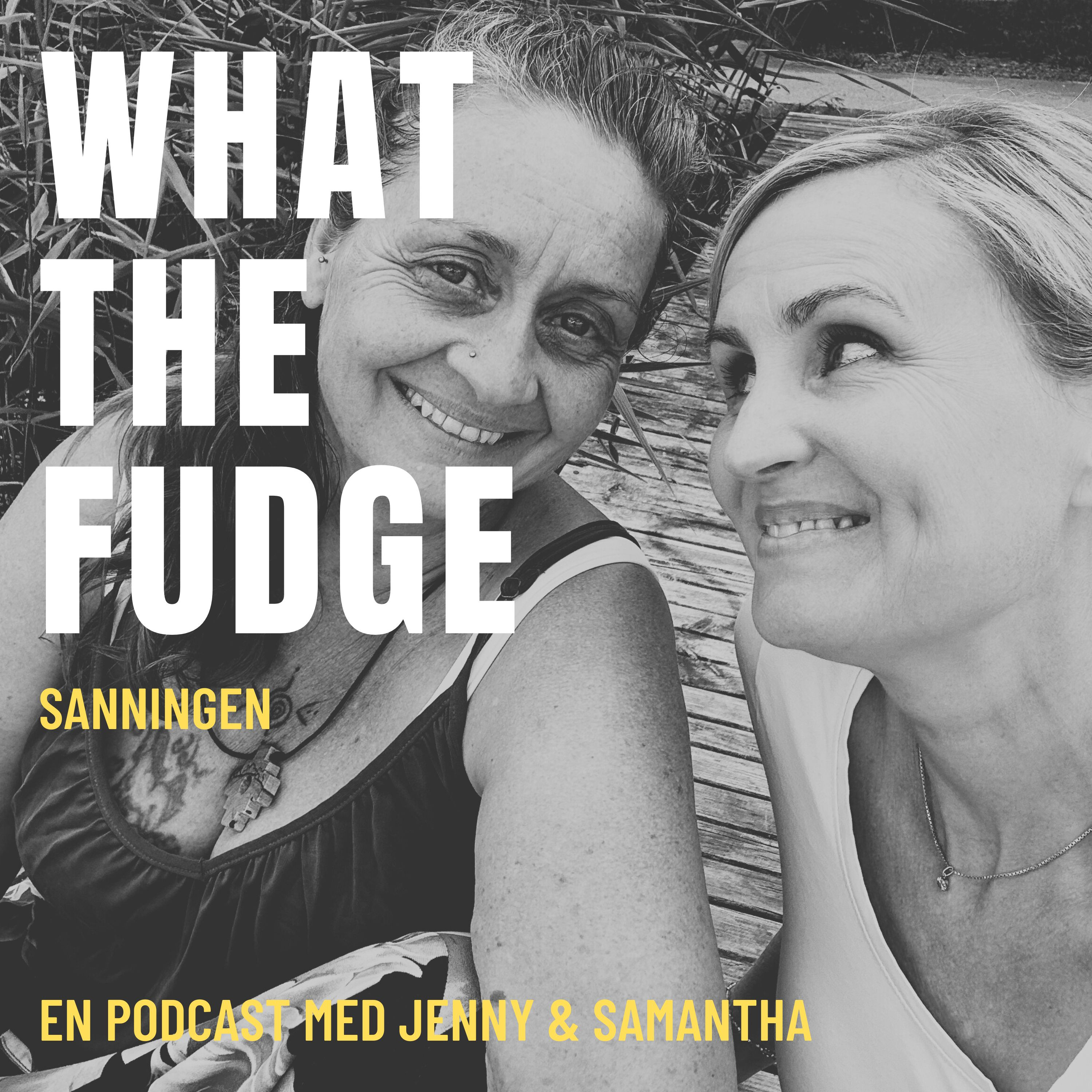 What the Fudge - Sanningen