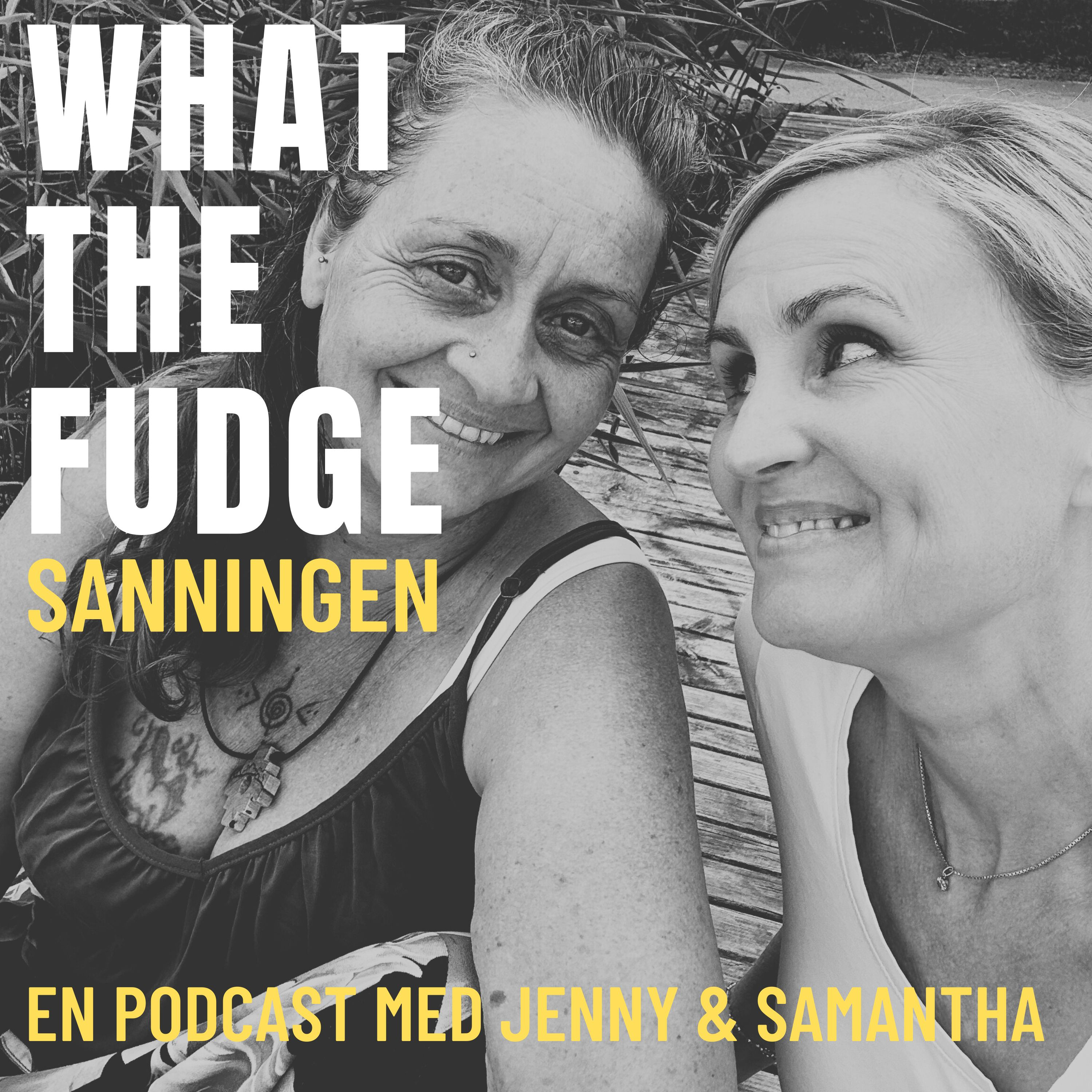 What the Fudge - Sanningen