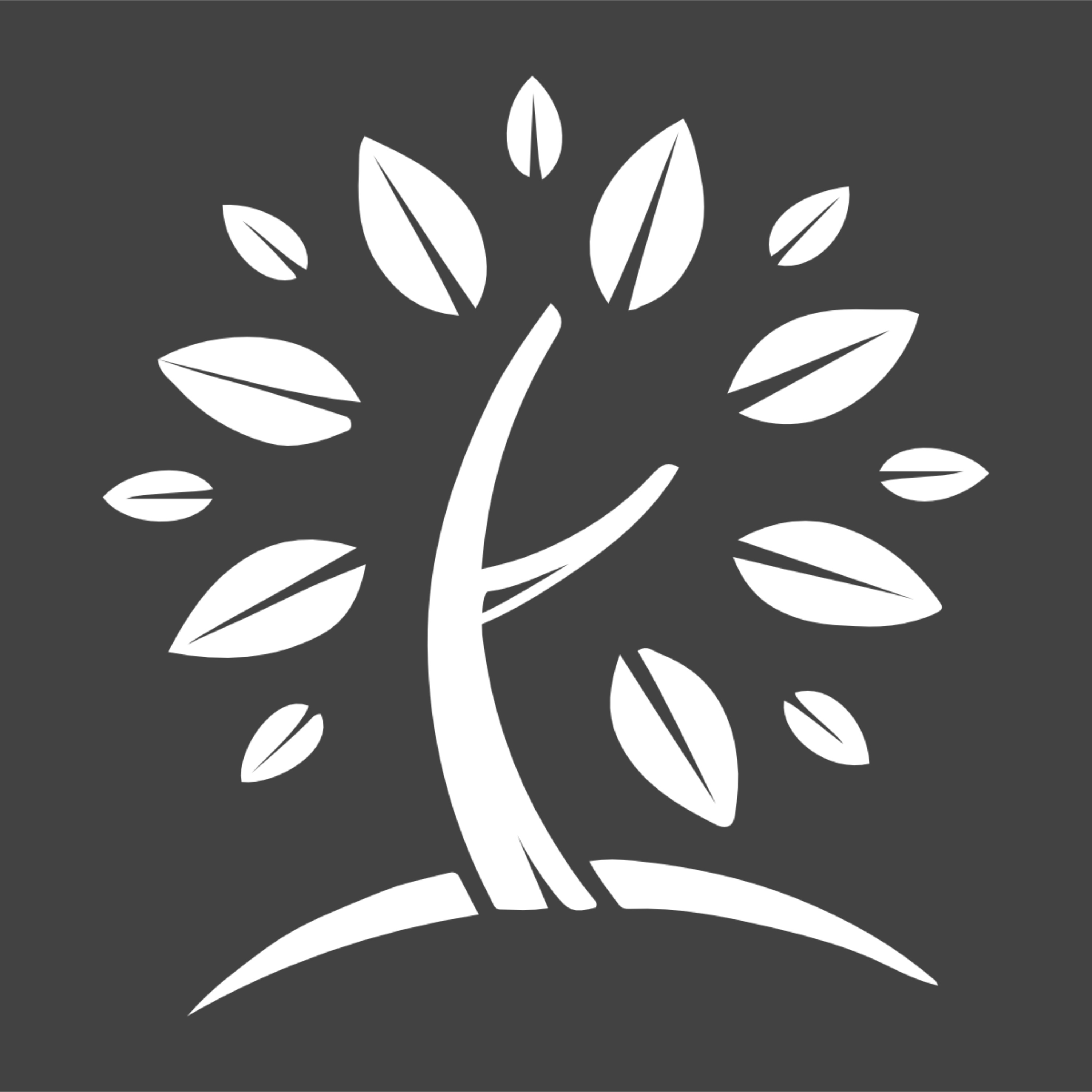 New Canaan Baptist Church podcast artwork