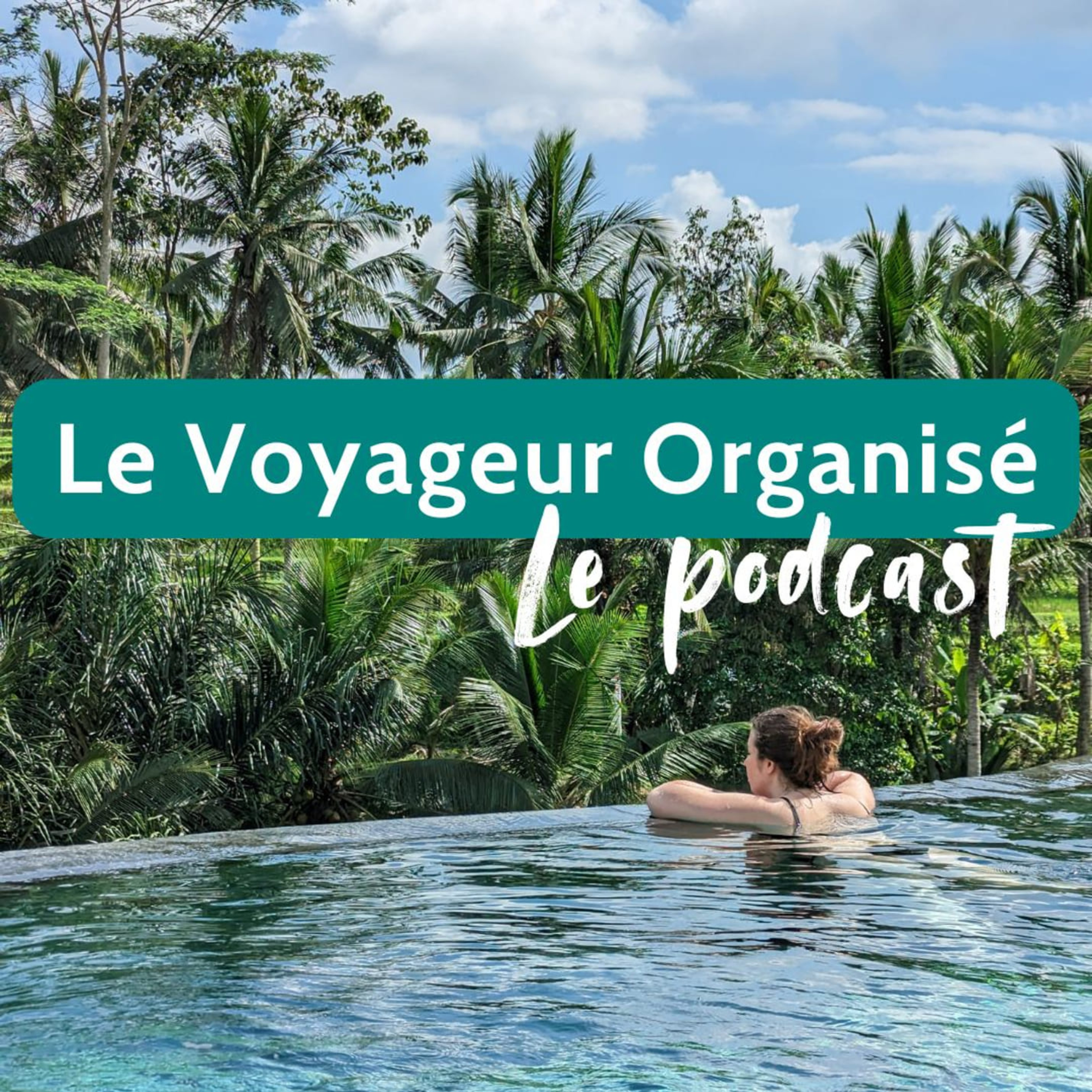 Le Voyageur Organisé : les secrets d'un voyage parfait