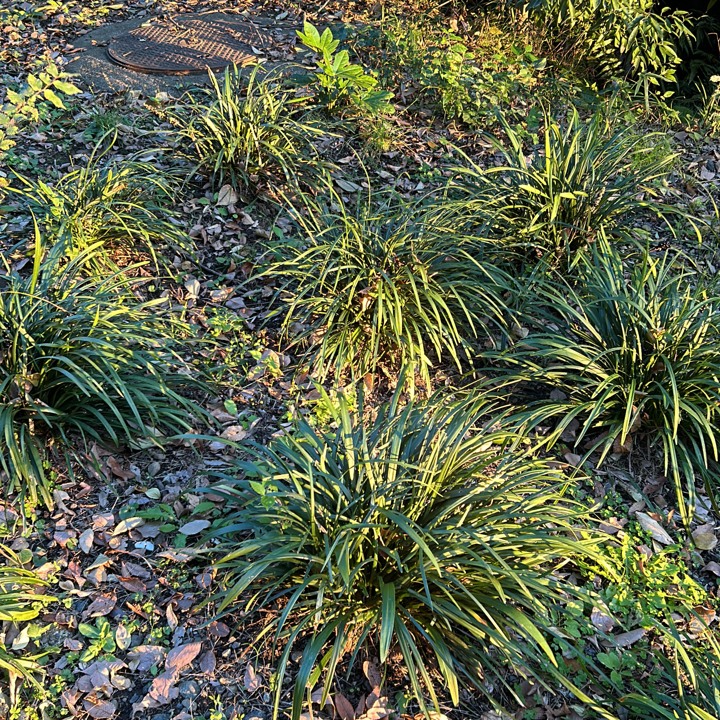 そして人生はつづくのか