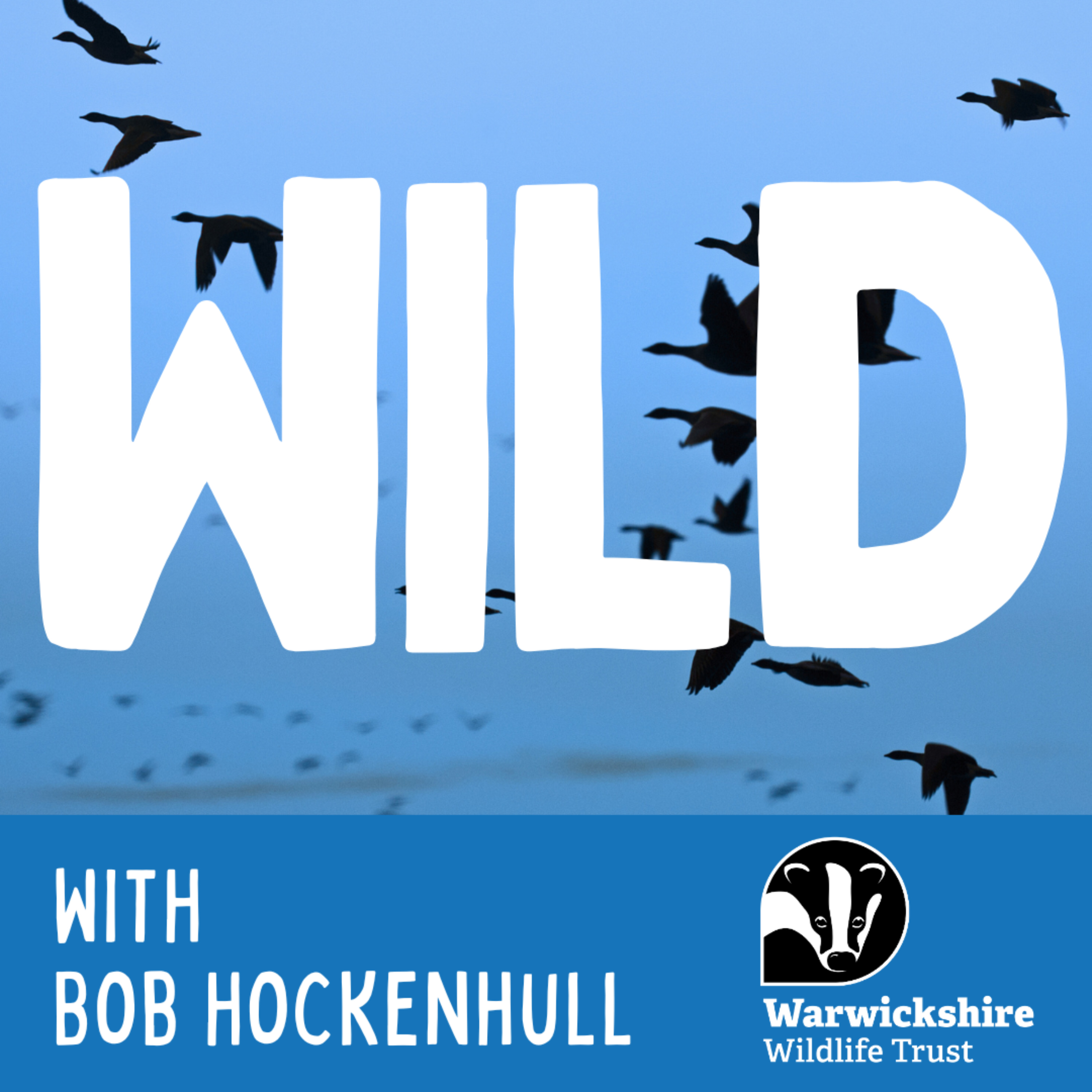 WILD: The Warwickshire Wildlife Trust Podcast