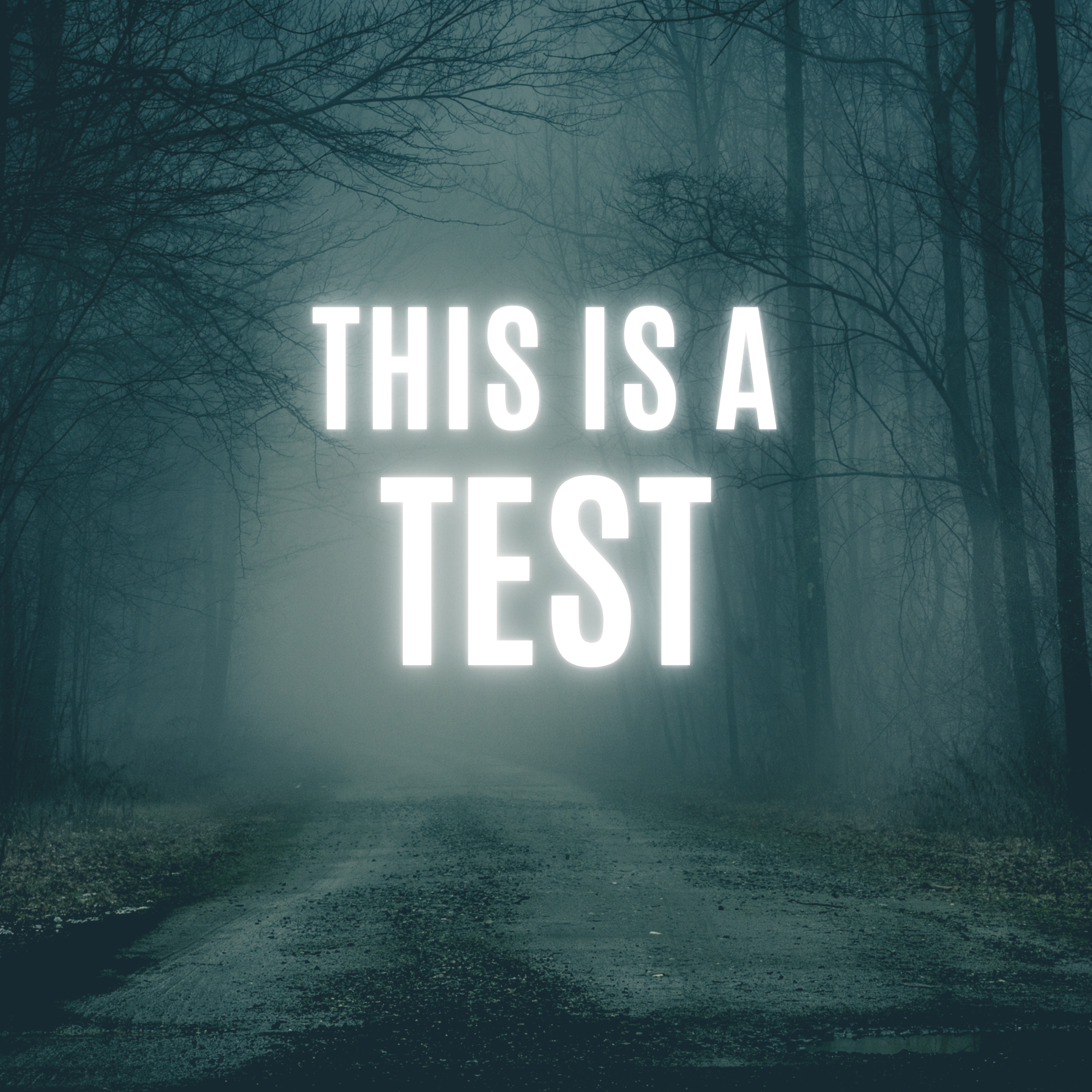 This show is a test! podcast artwork