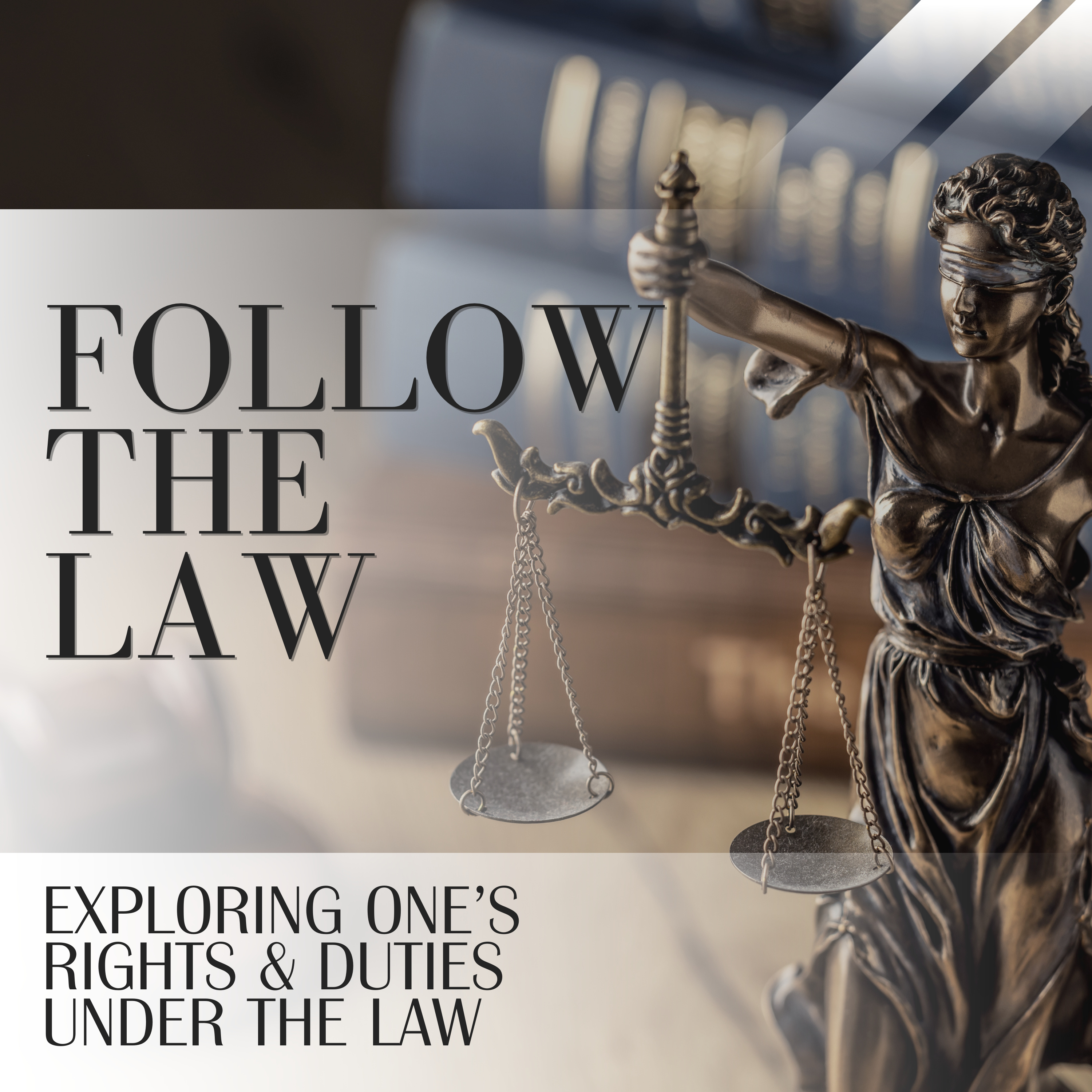 Follow The Law
