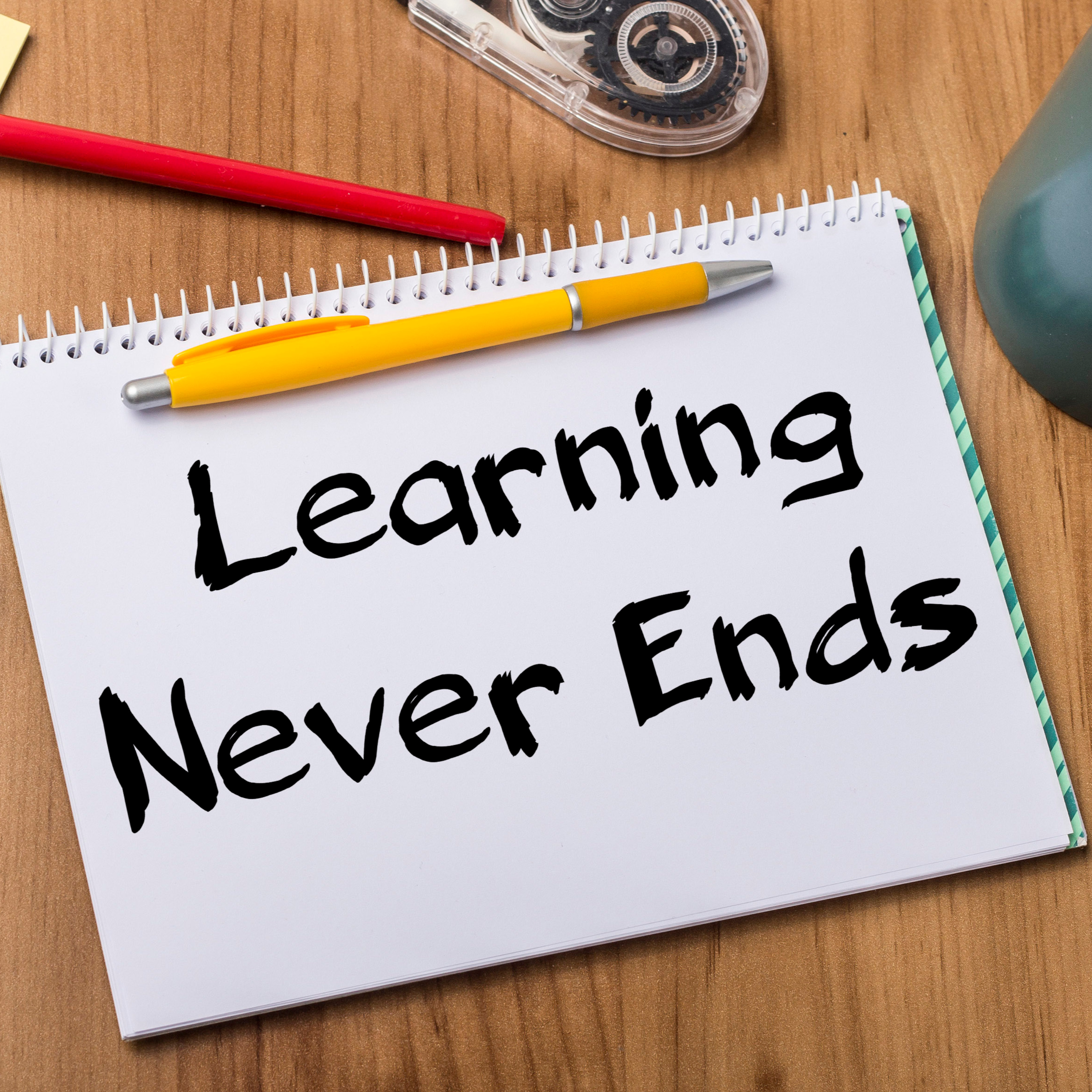 The Joyful Scholar: Surviving and Thriving in Academic Life