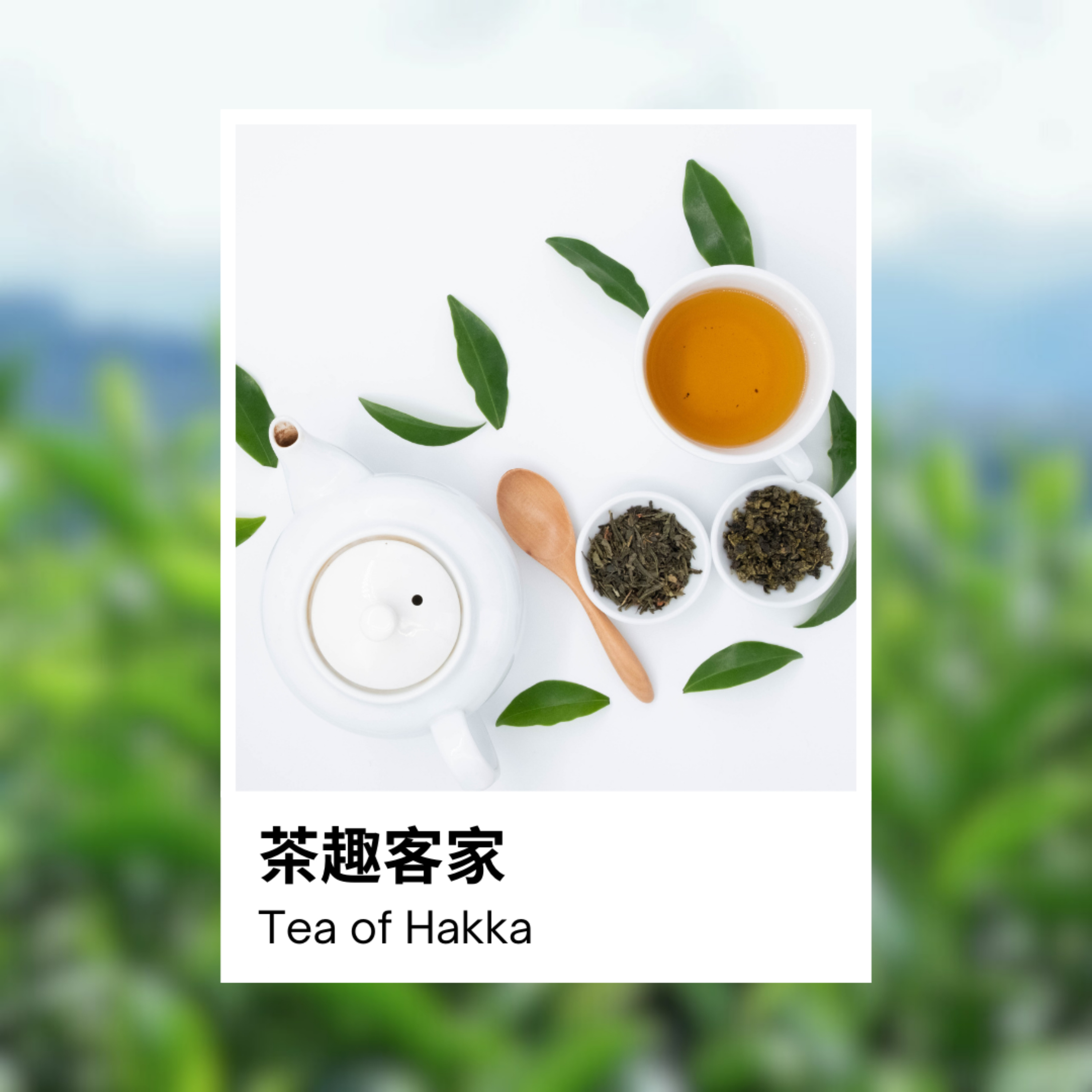 茶趣客家