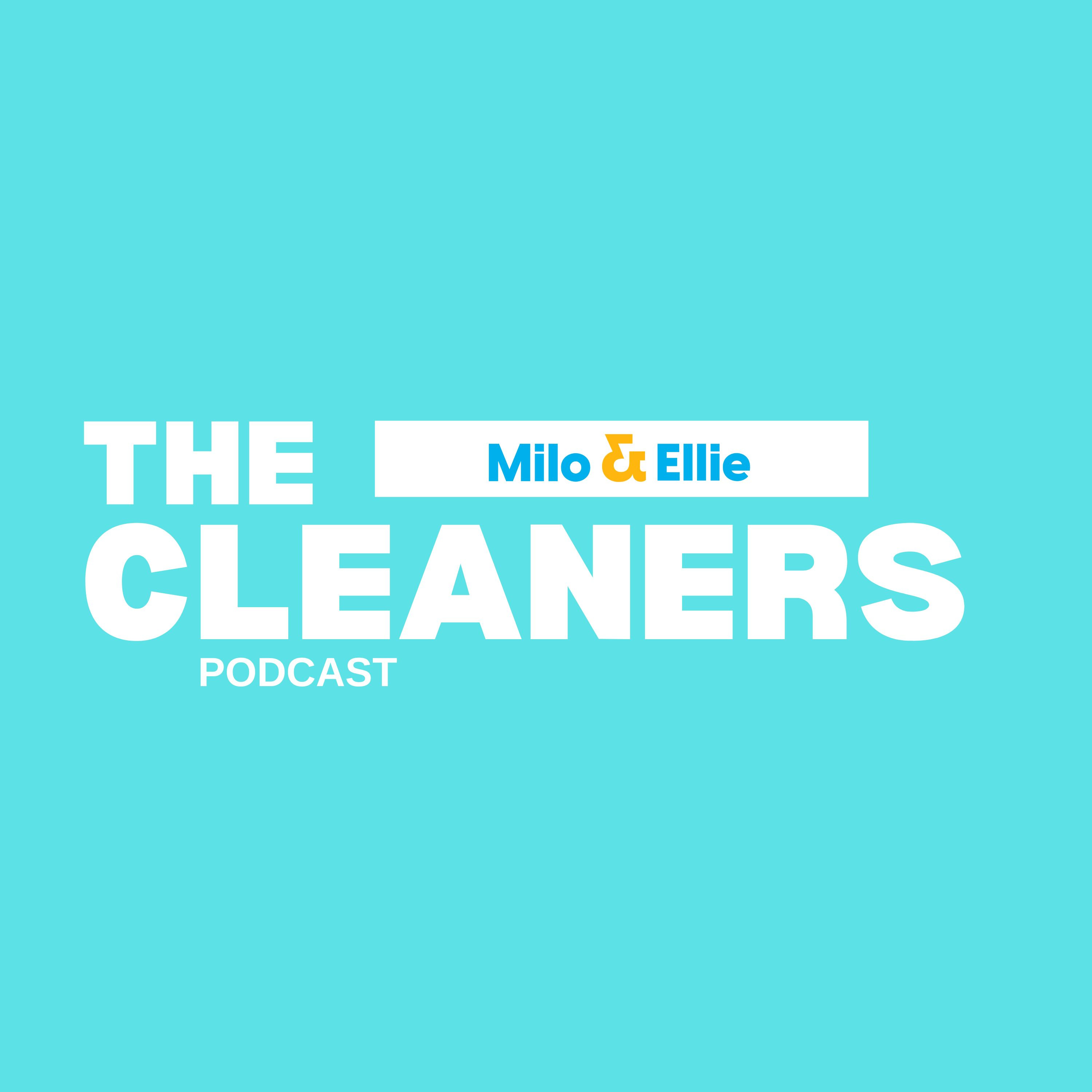 The Cleaners