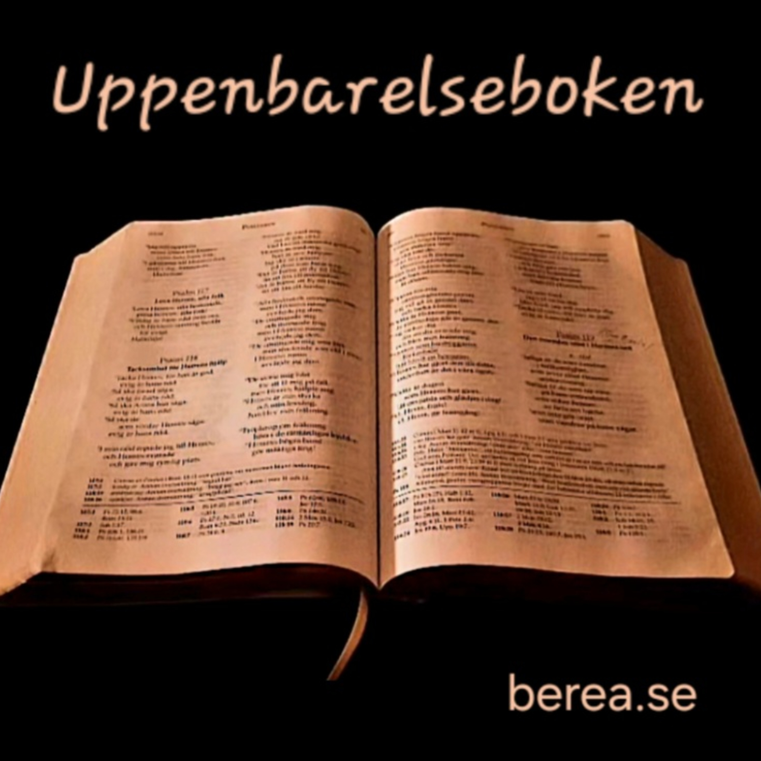 Uppenbarelseboken