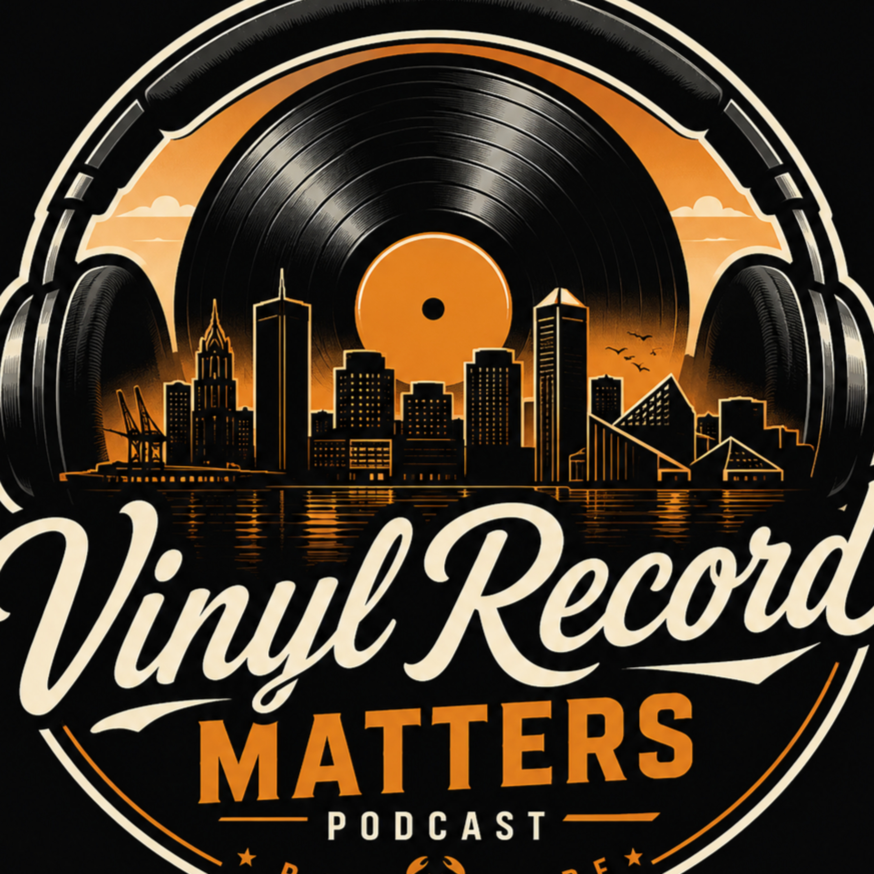 Vinyl Record Matters