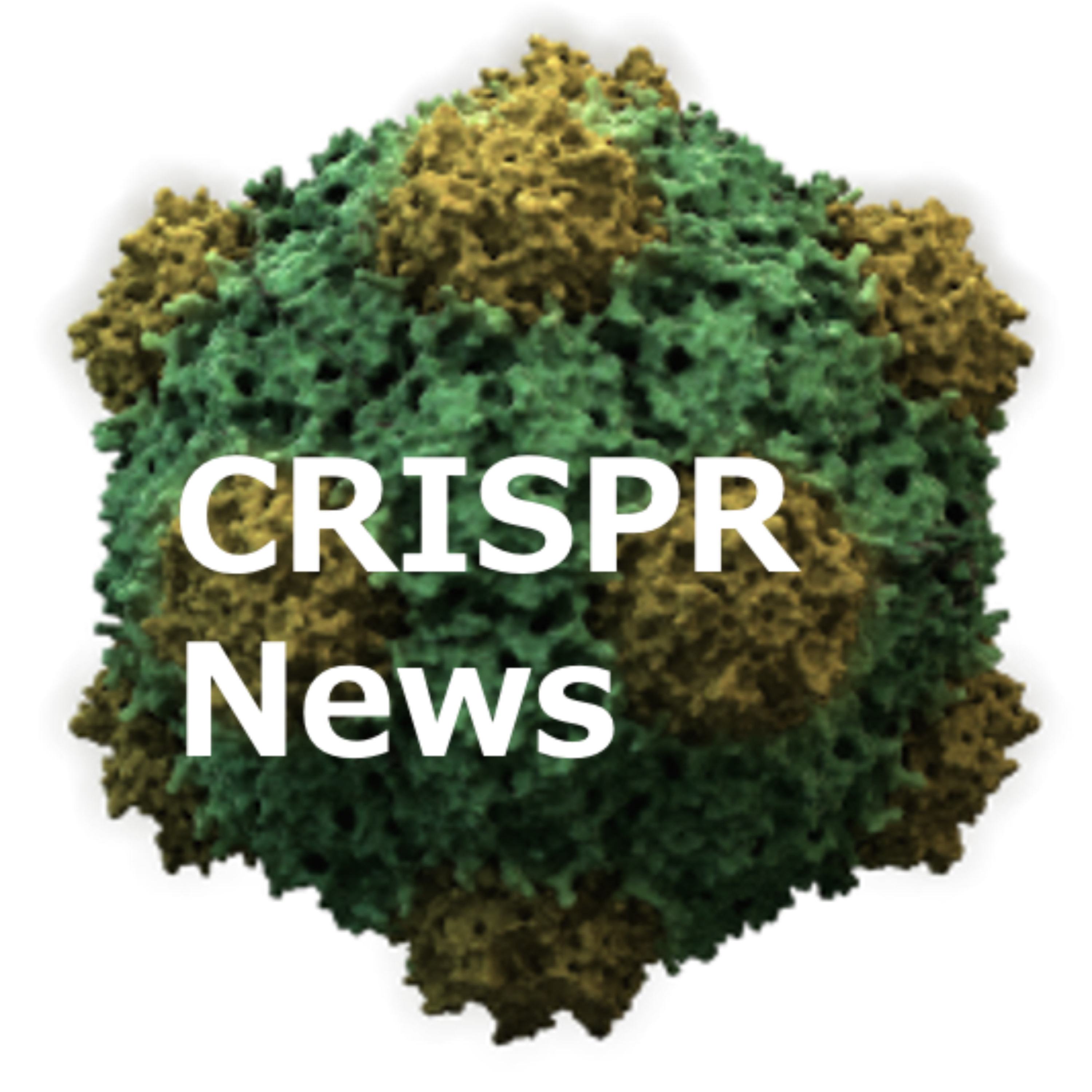 CRISPR News
