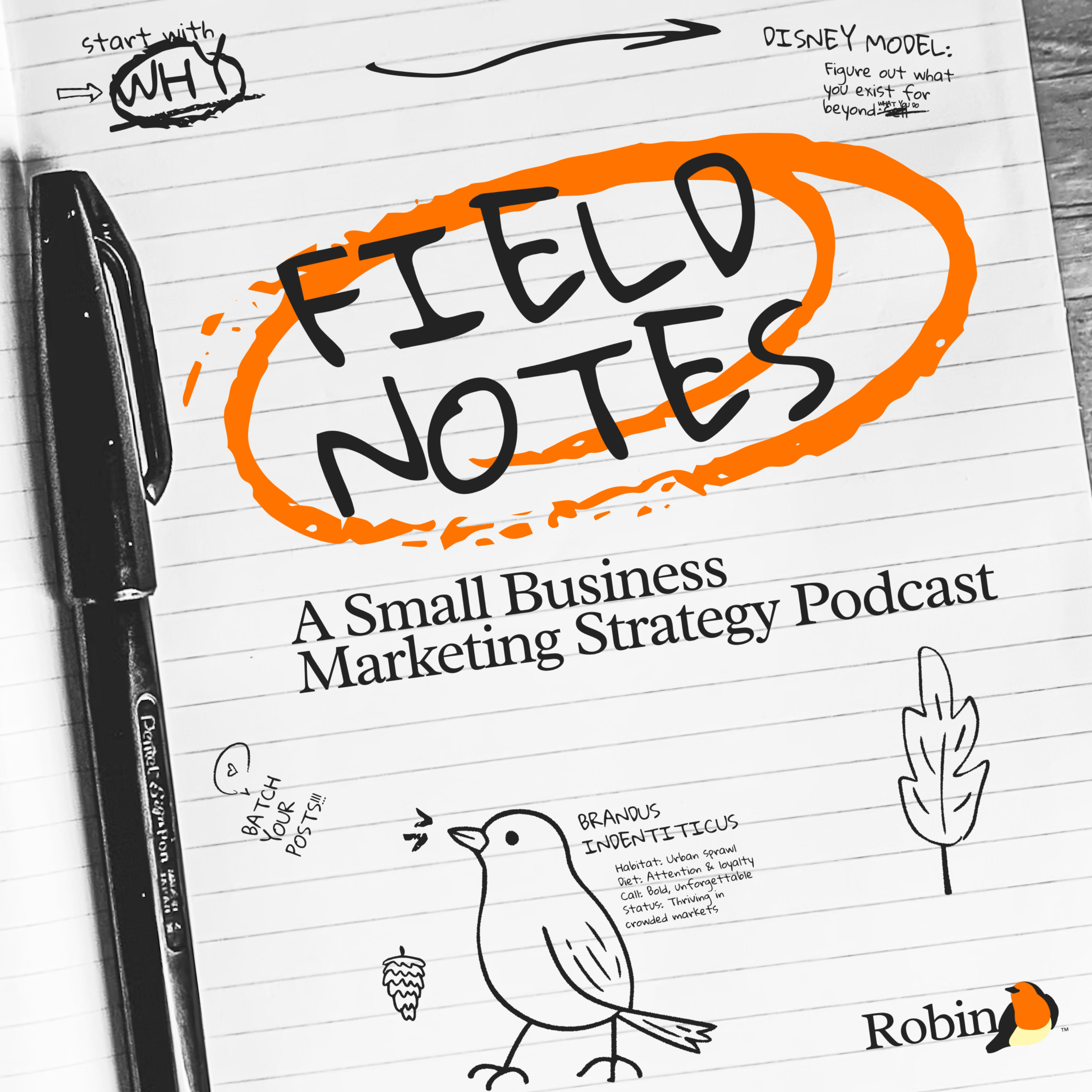 Field Notes: A Small Business Marketing Strategy Podcast podcast artwork