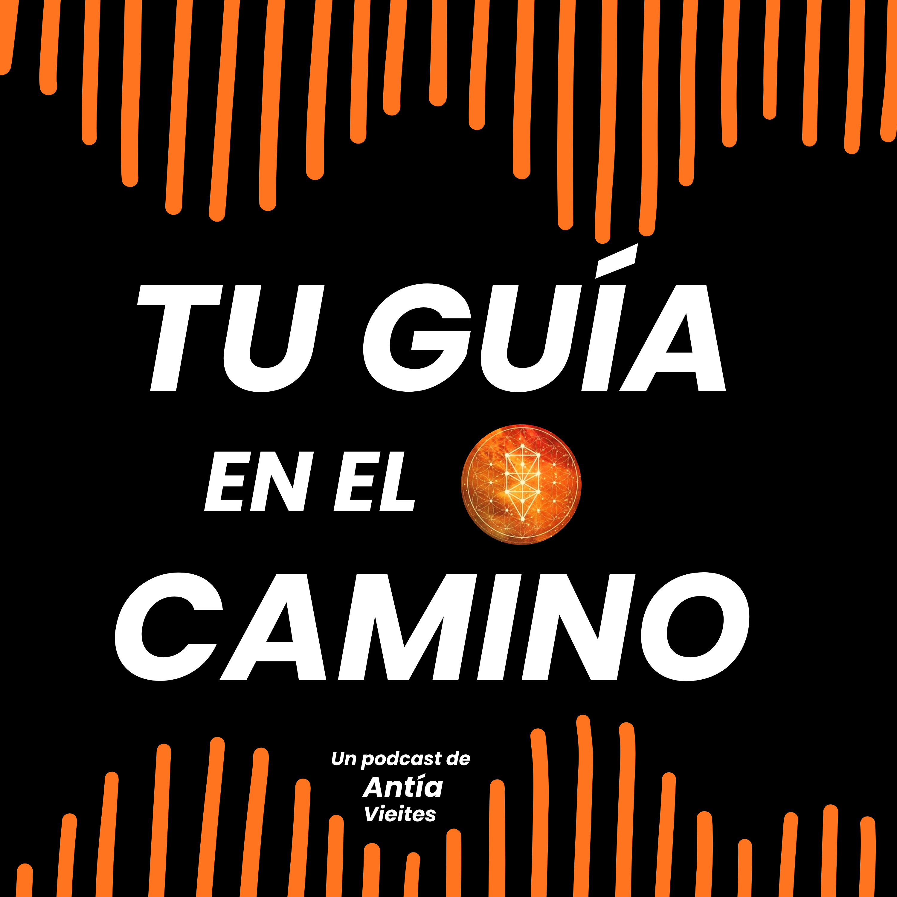 Tu guía en el Camino