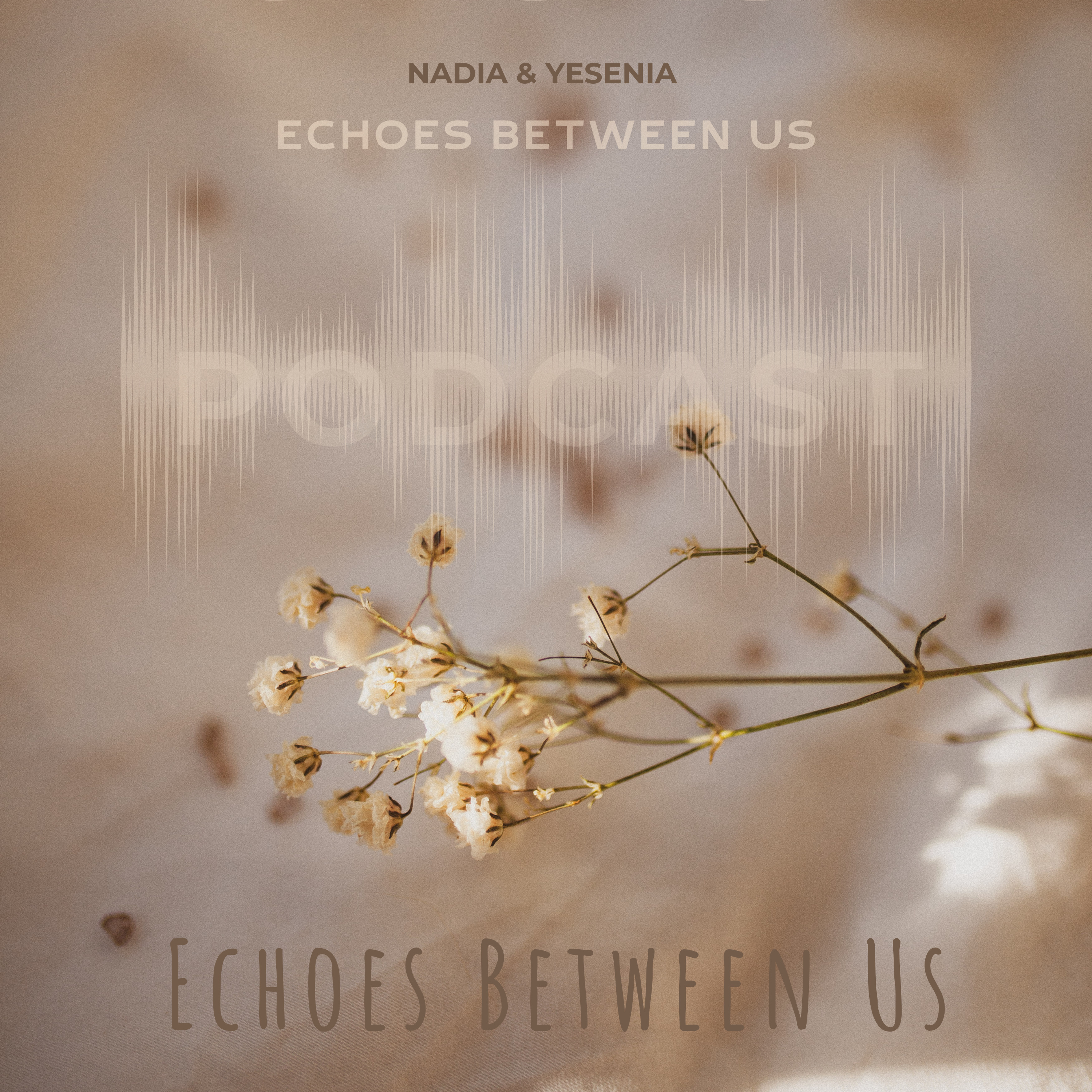 Echoes Between Us podcast artwork