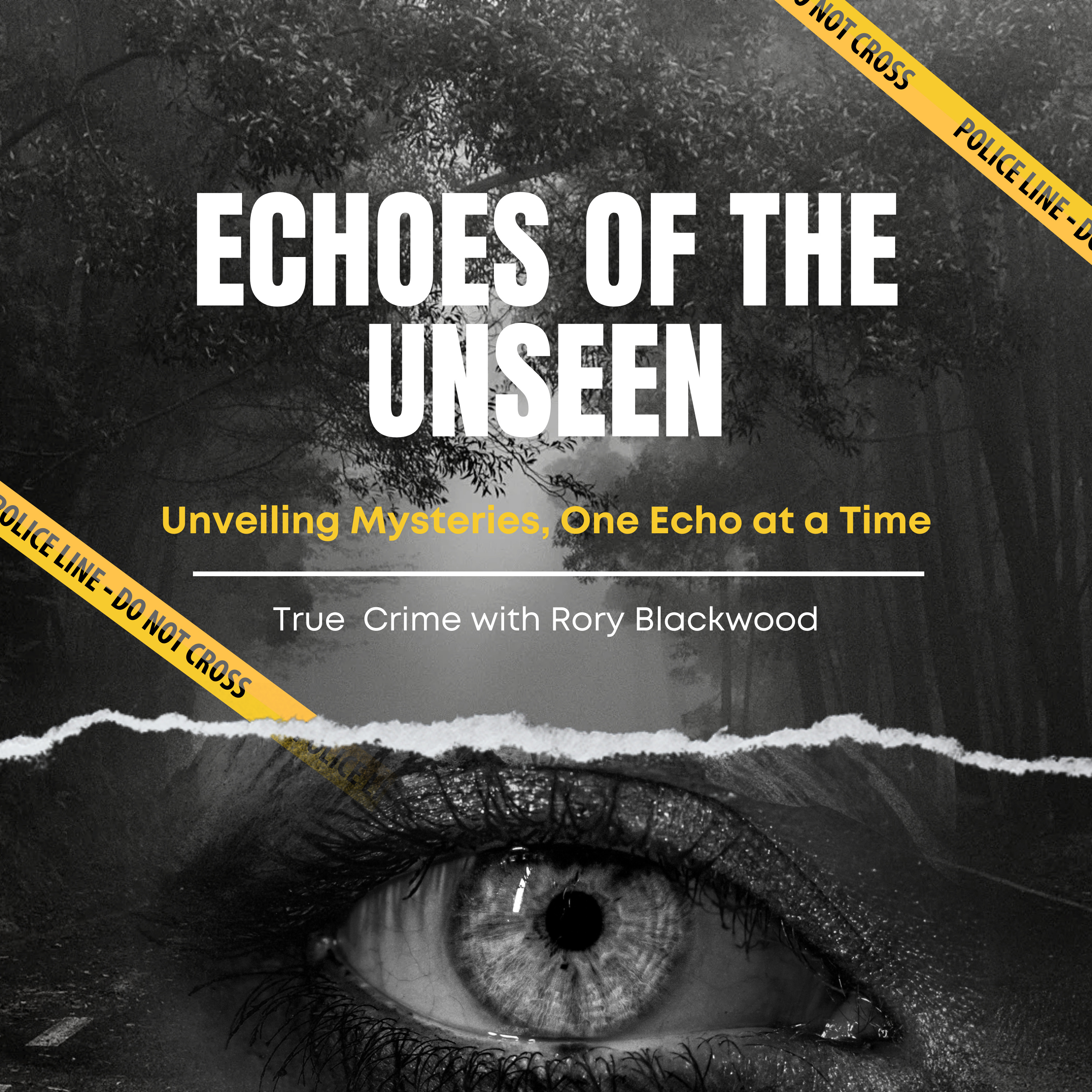 Echoes of the Unseen podcast artwork