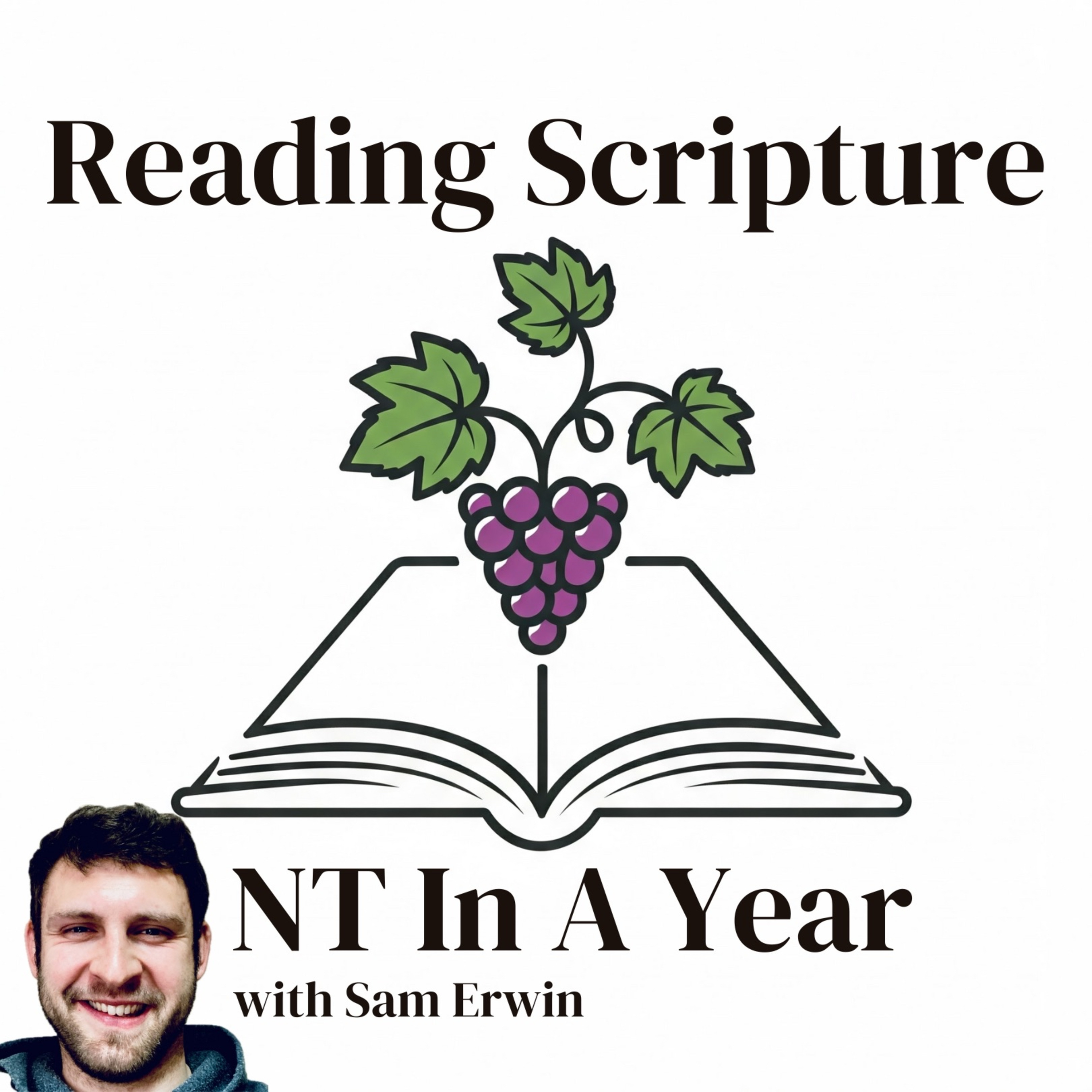 Reading Scripture: New Testament In A Year