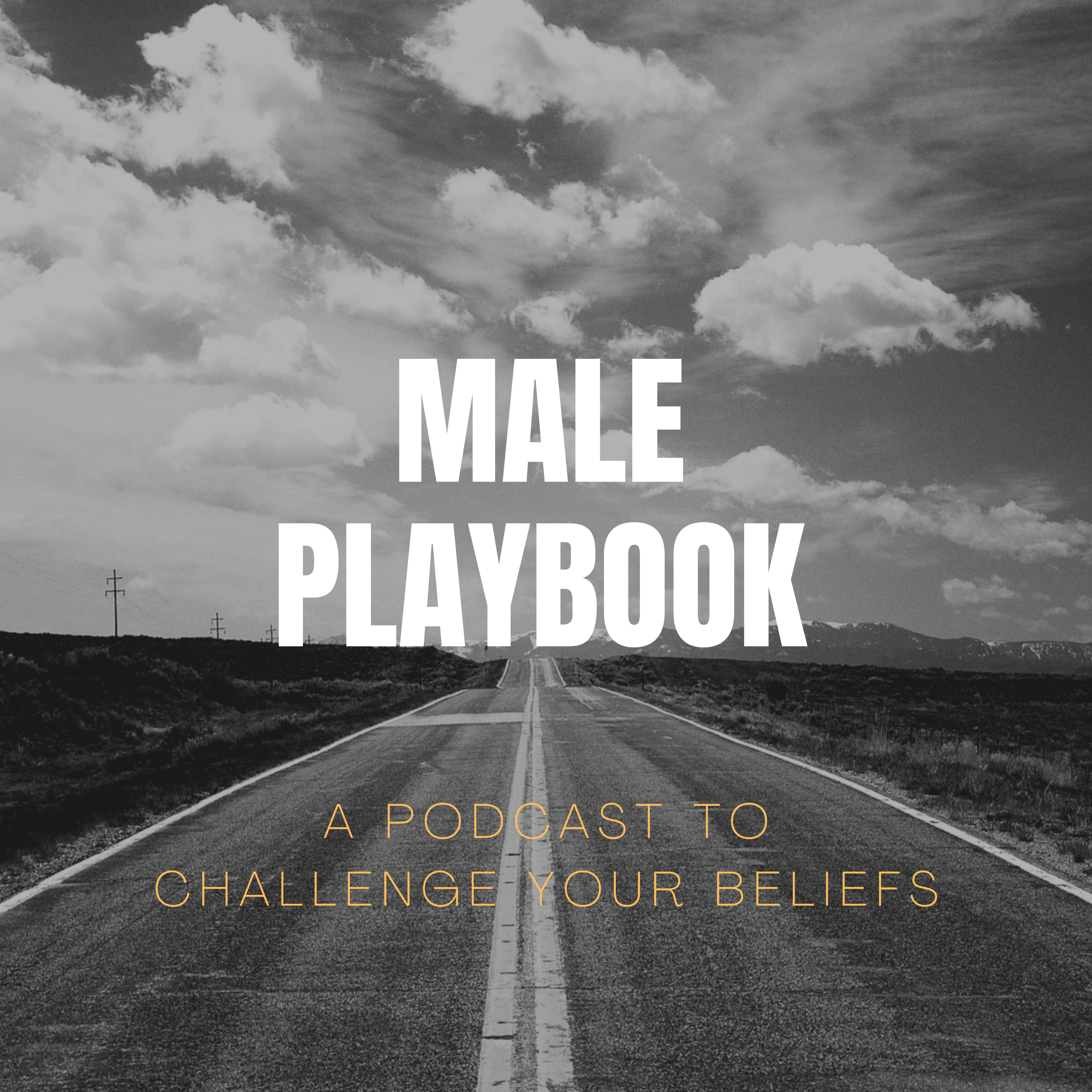 Male Playbook