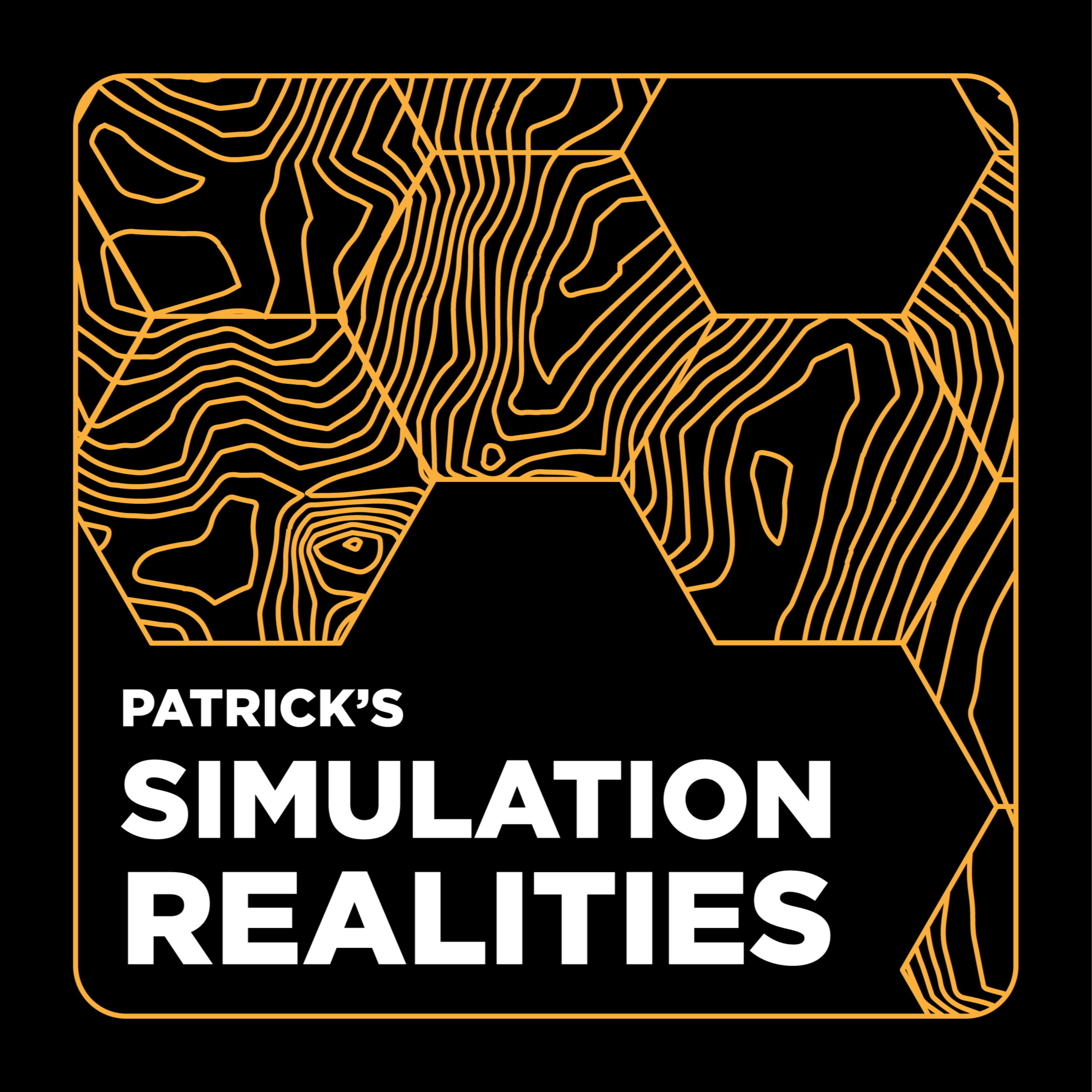 Patrick\'s Simulation Realities